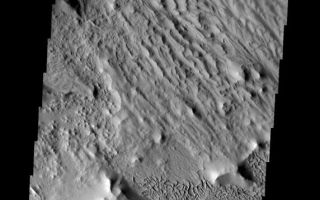<h1>PIA08445:  Ridges and Cracks</h1><div class="PIA08445" lang="en" style="width:572px;text-align:left;margin:auto;background-color:#000;padding:10px;max-height:150px;overflow:auto;"><p><a href="/figures/PIA08445_fig1.jpg"></a><br><b>Context image for PIA08445<br />Ridges and Cracks</b></p><p>This image has a cracked plateau of material next to a low region of interconnected small ridges. This region is located at the northwestern end of Gordii Dorsum.<p>Image information: VIS instrument. Latitude 11.0N, Longitude 212.0E. 18 meter/pixel resolution.</p><p>Please see the <a href="http://themis.asu.edu/terms" target="_blank">THEMIS Data Citation Note</a> for details on crediting THEMIS images. </p><p>Note: this THEMIS visual image has not been radiometrically nor geometrically calibrated for this preliminary release. An empirical correction has been performed to remove instrumental effects. A linear shift has been applied in the cross-track and down-track direction to approximate spacecraft and planetary motion. Fully calibrated and geometrically projected images will be released through the Planetary Data System in accordance with Project policies at a later time.</p><p>NASA's Jet Propulsion Laboratory manages the 2001 Mars Odyssey mission for NASA's Office of Space Science, Washington, D.C. The Thermal Emission Imaging System (THEMIS) was developed by Arizona State University, Tempe, in collaboration with Raytheon Santa Barbara Remote Sensing. The THEMIS investigation is led by Dr. Philip Christensen at Arizona State University. Lockheed Martin Astronautics, Denver, is the prime contractor for the Odyssey project, and developed and built the orbiter. Mission operations are conducted jointly from Lockheed Martin and from JPL, a division of the California Institute of Technology in Pasadena.</p><br /><br /><a href="http://photojournal.jpl.nasa.gov/catalog/PIA08445" onclick="window.open(this.href); return false;" title="Voir l'image 	 PIA08445:  Ridges and Cracks	  sur le site de la NASA">Voir l'image 	 PIA08445:  Ridges and Cracks	  sur le site de la NASA.</a></div>