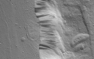 <h1>PIA08458:  Acheron Trough</h1><div class="PIA08458" lang="en" style="width:800px;text-align:left;margin:auto;background-color:#000;padding:10px;max-height:150px;overflow:auto;"><p>12 May 2006<br />This Mars Global Surveyor (MGS) Mars Orbiter Camera (MOC) image shows a portion of the floor and wall of a trough in the Acheron Fossae region of Mars. Mass movements of dry dust, which appears to mantle much of the scene, have created the dark slope streaks on the wall of the trough.</p><p>Location near: 37.5°N, 131.0°W <br />Image width: ~3 km (~1.9 mi) <br />Illumination from: lower left <br />Season: Northern Winter </p><br /><br /><a href="http://photojournal.jpl.nasa.gov/catalog/PIA08458" onclick="window.open(this.href); return false;" title="Voir l'image 	 PIA08458:  Acheron Trough	  sur le site de la NASA">Voir l'image 	 PIA08458:  Acheron Trough	  sur le site de la NASA.</a></div>