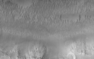 <h1>PIA08459:  Evros Vallis</h1><div class="PIA08459" lang="en" style="width:541px;text-align:left;margin:auto;background-color:#000;padding:10px;max-height:150px;overflow:auto;"><p>13 May 2006<br />This Mars Global Surveyor (MGS) Mars Orbiter Camera (MOC) image shows a small portion of Evros Vallis, an ancient valley located south of the large impact basin, Schiaparelli. In this image, the walls and floor of the valley, as well as the adjacent upland, are all mantled by dust. In addition to the dust mantle, large, windblown ripples occur in low-lying areas, particularly on the valley floor. The ripples, also, have been covered by dust.</p><p>Location near: 12.7°S, 346.7°W  <br />Image width: ~3 km (~1.9 mi) <br />Illumination from: upper left <br />Season: Southern Autumn </p><br /><br /><a href="http://photojournal.jpl.nasa.gov/catalog/PIA08459" onclick="window.open(this.href); return false;" title="Voir l'image 	 PIA08459:  Evros Vallis	  sur le site de la NASA">Voir l'image 	 PIA08459:  Evros Vallis	  sur le site de la NASA.</a></div>