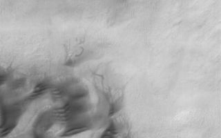 <h1>PIA08547:  Green Gullies</h1><div class="PIA08547" lang="en" style="width:496px;text-align:left;margin:auto;background-color:#000;padding:10px;max-height:150px;overflow:auto;"><p>18 June 2006<br />This Mars Global Surveyor (MGS) Mars Orbiter Camera (MOC) image shows a series of small gullies on the north wall of a crater within the much larger Green Crater in Noachis Terra, Mars. The gullies might have formed by seepage and runoff of ground water; others have suggested that melting snow or ice might create such gullies. The crater floor exhibits a field of sand dunes and some wispy, dark streaks left by passing dust devils.</p><p>Location near: 53.0°S, 8.0°W <br />Image width: ~3 km (~1.9 mi) <br />Illumination from: upper left <br /> Season: Southern Autumn </p><br /><br /><a href="http://photojournal.jpl.nasa.gov/catalog/PIA08547" onclick="window.open(this.href); return false;" title="Voir l'image 	 PIA08547:  Green Gullies	  sur le site de la NASA">Voir l'image 	 PIA08547:  Green Gullies	  sur le site de la NASA.</a></div>