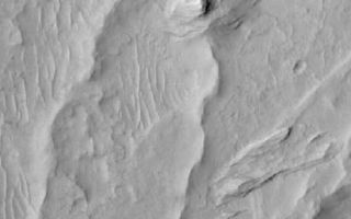 <h1>PIA08554:  Inverted Channels</h1><div class="PIA08554" lang="en" style="width:412px;text-align:left;margin:auto;background-color:#000;padding:10px;max-height:150px;overflow:auto;"><p>23 June 2006<br />This Mars Global Surveyor (MGS) Mars Orbiter Camera (MOC) image shows sinuous ridges and other landforms exposed by erosion in the Aeolis region of Mars. The ridges in this scene indicate the locations of ancient channels in a fan of sediment deposited in this region. Over time, wind erosion has removed surrounding materials and left the channels, which had been filled by sediment, standing as ridges.</p><p>Location near: 4.5°S, 205.2°W <br />Image width: ~2 km (~1.2 mi) <br />Illumination from: upper left <br /> Season: Southern Autumn</p><br /><br /><a href="http://photojournal.jpl.nasa.gov/catalog/PIA08554" onclick="window.open(this.href); return false;" title="Voir l'image 	 PIA08554:  Inverted Channels	  sur le site de la NASA">Voir l'image 	 PIA08554:  Inverted Channels	  sur le site de la NASA.</a></div>