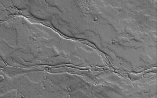 <h1>PIA08579:  Lava Levees</h1><div class="PIA08579" lang="en" style="width:769px;text-align:left;margin:auto;background-color:#000;padding:10px;max-height:150px;overflow:auto;"><p>6 July 2006<br />This Mars Global Surveyor (MGS) Mars Orbiter Camera (MOC) image shows the remains of leveed lava channels cutting across (west to east) a dust-covered plain composed of overlapping lava flows east of Olympus Mons, a giant volcano in the Tharsis region of Mars.</p><p>Location near: 22.3°N, 122.0°W <br />Image width: ~3 km (~1.9 mi) <br />Illumination from: lower left <br />Season: Northern Winter </p><br /><br /><a href="http://photojournal.jpl.nasa.gov/catalog/PIA08579" onclick="window.open(this.href); return false;" title="Voir l'image 	 PIA08579:  Lava Levees	  sur le site de la NASA">Voir l'image 	 PIA08579:  Lava Levees	  sur le site de la NASA.</a></div>