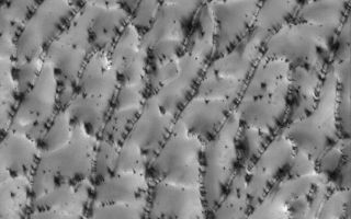 <h1>PIA08615:  Defrosty Dunes</h1><div class="PIA08615" lang="en" style="width:606px;text-align:left;margin:auto;background-color:#000;padding:10px;max-height:150px;overflow:auto;"><p>19 July 2006<br />This Mars Global Surveyor (MGS) Mars Orbiter Camera (MOC) image shows a portion of a sand dune field in the north polar region of Mars. The dunes are covered with frozen carbon dioxide which accumulated over the autumn and winter months in the northern hemisphere. During the spring, the time at which this image was acquired, the carbon dioxide begins to sublime away, going directly from solid to gas, just as dry ice does here on Earth. The dark spots, streaked by blowing winds, may be places where the frost has been removed (exposing underlying dark sand), places where the grain size or roughness of the frost has increased (increasing shadowing due to the change in texture), or both.</p><p>Location near: 79.7°N, 148.3°W <br />Image width: ~3 km (~1.9 mi) <br />Illumination from: lower left <br />Season: Northern Spring </p><br /><br /><a href="http://photojournal.jpl.nasa.gov/catalog/PIA08615" onclick="window.open(this.href); return false;" title="Voir l'image 	 PIA08615:  Defrosty Dunes	  sur le site de la NASA">Voir l'image 	 PIA08615:  Defrosty Dunes	  sur le site de la NASA.</a></div>