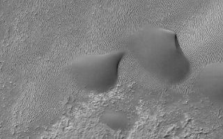 <h1>PIA08620:  Ripples and Dunes</h1><div class="PIA08620" lang="en" style="width:584px;text-align:left;margin:auto;background-color:#000;padding:10px;max-height:150px;overflow:auto;"><p>21 July 2006<br />This Mars Global Surveyor (MGS) Mars Orbiter Camera (MOC) image shows a small portion of the floor of Kaiser Crater in the Noachis Terra region, Mars. The terrain in the upper (northern) half of the image is covered by large windblown ripples and a few smoother-surfaced sand dunes. The dominant winds responsible for these features blew from the west/southwest (left/lower left).</p><p>Location near: 47.2°S, 341.3°W <br />Image width: ~3 km (~1.9 mi) <br />Illumination from: upper left <br />Season: Southern Winter </p><br /><br /><a href="http://photojournal.jpl.nasa.gov/catalog/PIA08620" onclick="window.open(this.href); return false;" title="Voir l'image 	 PIA08620:  Ripples and Dunes	  sur le site de la NASA">Voir l'image 	 PIA08620:  Ripples and Dunes	  sur le site de la NASA.</a></div>