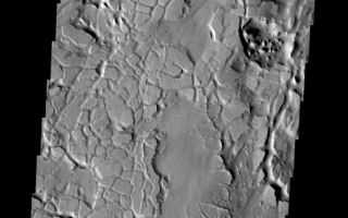 <h1>PIA08641:  Cracks to Chaos</h1><div class="PIA08641" lang="en" style="width:562px;text-align:left;margin:auto;background-color:#000;padding:10px;max-height:150px;overflow:auto;"><p><a href="/figures/PIA08641_fig1.jpg"></a><br><b>Context image for PIA08641<br />Cracks to Chaos</b></p><p>The materials in this region are cracked into individual pieces that with time weather into chaos terrain. This image is located on the southernmost border of Elysium Planitia.</p><p>Image information: VIS instrument. Latitude -0.8N, Longitude 172.5E. 18 meter/pixel resolution.</p><p>Please see the <a href="http://themis.asu.edu/terms" target="_blank">THEMIS Data Citation Note</a> for details on crediting THEMIS images. </p><p>Note: this THEMIS visual image has not been radiometrically nor geometrically calibrated for this preliminary release. An empirical correction has been performed to remove instrumental effects. A linear shift has been applied in the cross-track and down-track direction to approximate spacecraft and planetary motion. Fully calibrated and geometrically projected images will be released through the Planetary Data System in accordance with Project policies at a later time.</p><p>NASA's Jet Propulsion Laboratory manages the 2001 Mars Odyssey mission for NASA's Office of Space Science, Washington, D.C. The Thermal Emission Imaging System (THEMIS) was developed by Arizona State University, Tempe, in collaboration with Raytheon Santa Barbara Remote Sensing. The THEMIS investigation is led by Dr. Philip Christensen at Arizona State University. Lockheed Martin Astronautics, Denver, is the prime contractor for the Odyssey project, and developed and built the orbiter. Mission operations are conducted jointly from Lockheed Martin and from JPL, a division of the California Institute of Technology in Pasadena.</p><br /><br /><a href="http://photojournal.jpl.nasa.gov/catalog/PIA08641" onclick="window.open(this.href); return false;" title="Voir l'image 	 PIA08641:  Cracks to Chaos	  sur le site de la NASA">Voir l'image 	 PIA08641:  Cracks to Chaos	  sur le site de la NASA.</a></div>