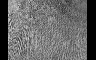 <h1>PIA08682:  Polar Dunes</h1><div class="PIA08682" lang="en" style="width:520px;text-align:left;margin:auto;background-color:#000;padding:10px;max-height:150px;overflow:auto;"><p><a href="/figures/PIA08682_fig1.jpg"></a><br><b>Context image for PIA08682<br />Polar Textures></b></p><p>This large dune field is located in a trough of the north polar ice cap.</p><p>Image information: VIS instrument. Latitude 83.8N, Longitude 232.5E. 40 meter/pixel resolution.</p><p>Please see the <a href="http://themis.asu.edu/terms" target="_blank">THEMIS Data Citation Note</a> for details on crediting THEMIS images. </p><p>Note: this THEMIS visual image has not been radiometrically nor geometrically calibrated for this preliminary release. An empirical correction has been performed to remove instrumental effects. A linear shift has been applied in the cross-track and down-track direction to approximate spacecraft and planetary motion. Fully calibrated and geometrically projected images will be released through the Planetary Data System in accordance with Project policies at a later time.</p><p>NASA's Jet Propulsion Laboratory manages the 2001 Mars Odyssey mission for NASA's Office of Space Science, Washington, D.C. The Thermal Emission Imaging System (THEMIS) was developed by Arizona State University, Tempe, in collaboration with Raytheon Santa Barbara Remote Sensing. The THEMIS investigation is led by Dr. Philip Christensen at Arizona State University. Lockheed Martin Astronautics, Denver, is the prime contractor for the Odyssey project, and developed and built the orbiter. Mission operations are conducted jointly from Lockheed Martin and from JPL, a division of the California Institute of Technology in Pasadena.</p><br /><br /><a href="http://photojournal.jpl.nasa.gov/catalog/PIA08682" onclick="window.open(this.href); return false;" title="Voir l'image 	 PIA08682:  Polar Dunes	  sur le site de la NASA">Voir l'image 	 PIA08682:  Polar Dunes	  sur le site de la NASA.</a></div>