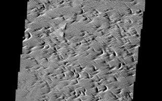 <h1>PIA08685:  Wind Erosion</h1><div class="PIA08685" lang="en" style="width:563px;text-align:left;margin:auto;background-color:#000;padding:10px;max-height:150px;overflow:auto;"><p><a href="/figures/PIA08685_fig1.jpg"></a><br><b>Context image for PIA08685<br /> Wind Erosion></b></p><p>The power of the wind is evident in the erosion of this portion of the Medusae Fossae Formation.</p><p>Image information: VIS instrument. Latitude 7.6N, Longitude 225.4E. 18 meter/pixel resolution.</p><p>Please see the <a href="http://themis.asu.edu/terms" target="_blank">THEMIS Data Citation Note</a> for details on crediting THEMIS images. </p><p>Note: this THEMIS visual image has not been radiometrically nor geometrically calibrated for this preliminary release. An empirical correction has been performed to remove instrumental effects. A linear shift has been applied in the cross-track and down-track direction to approximate spacecraft and planetary motion. Fully calibrated and geometrically projected images will be released through the Planetary Data System in accordance with Project policies at a later time.</p><p>NASA's Jet Propulsion Laboratory manages the 2001 Mars Odyssey mission for NASA's Office of Space Science, Washington, D.C. The Thermal Emission Imaging System (THEMIS) was developed by Arizona State University, Tempe, in collaboration with Raytheon Santa Barbara Remote Sensing. The THEMIS investigation is led by Dr. Philip Christensen at Arizona State University. Lockheed Martin Astronautics, Denver, is the prime contractor for the Odyssey project, and developed and built the orbiter. Mission operations are conducted jointly from Lockheed Martin and from JPL, a division of the California Institute of Technology in Pasadena.</p><br /><br /><a href="http://photojournal.jpl.nasa.gov/catalog/PIA08685" onclick="window.open(this.href); return false;" title="Voir l'image 	 PIA08685:  Wind Erosion	  sur le site de la NASA">Voir l'image 	 PIA08685:  Wind Erosion	  sur le site de la NASA.</a></div>