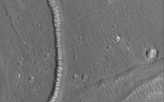 <h1>PIA08744:  Rippled Labyrinth</h1><div class="PIA08744" lang="en" style="width:559px;text-align:left;margin:auto;background-color:#000;padding:10px;max-height:150px;overflow:auto;"><p>8 September 2006<br />This Mars Global Surveyor (MGS) Mars Orbiter Camera (MOC) image shows light-toned ripples covering the floors of troughs in the Adamas Labyrinthus region of northern Elysium Planitia. The ripple crests generally run perpendicular to the trend of each trough, indicating that the dominant winds involved in shaping these ripples blow up and down, through the troughs, independent of the direction of winds that blow across the plains outside the troughs.</p><p>Location near 32.7°N, 251.1°W <br />Image width: ~3 km (~1.9 mi) <br />Illumination from: lower left <br />Season: Northern Spring </p><br /><br /><a href="http://photojournal.jpl.nasa.gov/catalog/PIA08744" onclick="window.open(this.href); return false;" title="Voir l'image 	 PIA08744:  Rippled Labyrinth	  sur le site de la NASA">Voir l'image 	 PIA08744:  Rippled Labyrinth	  sur le site de la NASA.</a></div>