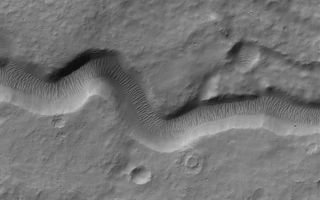 <h1>PIA08766:  Rippley Channel</h1><div class="PIA08766" lang="en" style="width:680px;text-align:left;margin:auto;background-color:#000;padding:10px;max-height:150px;overflow:auto;"><p>18 September 2006<br />This Mars Global Surveyor (MGS) Mars Orbiter Camera (MOC) image shows a narrow channel on the upper east flank of the martian volcano, Hadriaca Patera. Because it is located on a volcano, most likely this channel was formed by lava, perhaps as a lava tube at which the thin roof later collapsed. Large ripples of windblown sediment now occur on the channel floor; their crests are generally perpendicular to the channel walls, suggesting that winds blow up and down through this channel.</p><p>Location near: 30.5°S, 266.2°W <br />Image width: ~3 km (~1.9 mi) <br />Illumination from: upper left <br />Season: Southern Autumn </p><br /><br /><a href="http://photojournal.jpl.nasa.gov/catalog/PIA08766" onclick="window.open(this.href); return false;" title="Voir l'image 	 PIA08766:  Rippley Channel	  sur le site de la NASA">Voir l'image 	 PIA08766:  Rippley Channel	  sur le site de la NASA.</a></div>