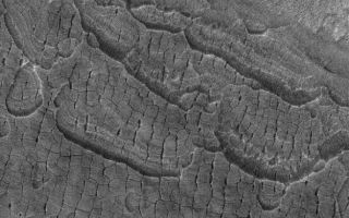 <h1>PIA08769:  Cracky Mars</h1><div class="PIA08769" lang="en" style="width:625px;text-align:left;margin:auto;background-color:#000;padding:10px;max-height:150px;overflow:auto;"><p>21 September 2006<br />This Mars Global Surveyor (MGS) Mars Orbiter Camera (MOC) image shows cracked, layered plains-forming material in the western part of Utopia Planitia, Mars. Investigators have speculated that ice might be -- or might once have been -- present in the ground, and changes in temperature and the amount of ice over time may have led to the formation of these cracks. But no one is certain just how these features formed.</p><p>Location near: 45.0°N, 276.1°W <br />Image width: ~3 km (~1.9 mi) <br />Illumination from: lower left <br />Season: Northern Spring </p><br /><br /><a href="http://photojournal.jpl.nasa.gov/catalog/PIA08769" onclick="window.open(this.href); return false;" title="Voir l'image 	 PIA08769:  Cracky Mars	  sur le site de la NASA">Voir l'image 	 PIA08769:  Cracky Mars	  sur le site de la NASA.</a></div>