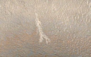 <h1>PIA09028:  New Gully Deposit in a Crater in the Centauri Montes Region</h1><div class="PIA09028" lang="en" style="width:800px;text-align:left;margin:auto;background-color:#000;padding:10px;max-height:150px;overflow:auto;"><p> <a href="/figures/PIA09028_fig1_anno.jpg"></a> <a href="/figures/PIA09028_fig2_anno.jpg"></a> <a href="/figures/PIA09028_fig3.jpg"></a>Figure A <a href="/figures/PIA09028_fig1_anno.jpg"><br />Annotated Image</a><br /></a> <a href="/figures/PIA09028_fig1.jpg">No Annotation</a>Figure B <a href="/figures/PIA09028_fig2_anno.jpg"><br />Annotated Image</a><br /></a> <a href="/figures/PIA09028_fig2.jpg">No Annotation</a>Figure C <a href="/figures/PIA09028_fig3.jpg"><br />No Annotation</a><br /><br /></p><p>Two Martian southern mid-latitude craters have new light-toned deposits that formed in gully settings during the course of the Mars Global Surveyor mission. Images from the Mars Orbiter Camera documented one case in an unnamed crater in Terra Sirenum, described in an accompanying release (see <a href="/catalog/PIA09027">PIA09027</a> or <a href="http://www.msss.com/mars_images/moc/2006/12/06/gullies/sirenum_crater/index.html">MOC2-1618</a>). The second case, in an unnamed crater in the Centauri Montes region, east of the Hellas Basin, is described here. </p><p>Gullies were first described by Mars Orbiter Camera scientists in June 2000, and many examples were presented in our June 2000 web releases and in a paper published in the journal Science. Additional examples of these middle and high-latitude landforms can be seen among the other more than 1,600 web releases. </p><p>The new gully deposit in an unnamed crater in the Centauri Montes region is located near 38.7 degrees south latitude, 263.3 degrees west longitude. Like the new gully deposit in Terra Sirenum, this one has a light tone relative to its surroundings. It is on an equator-facing slope on which numerous narrow gully channels occur. As this slope is always in sunlight during the afternoons when Mars Global Surveyor passes overhead, the gullies always appear somewhat "washed out," just as craters on a full Moon do when viewed from Earth with a telescope. </p><p>The new, light-toned flow was first noticed by the Mars Orbiter Camera science operations team in an image acquired on Sept. 10, 2005. Re-examination of other images of this crater showed that the new deposit had actually been present on Feb. 21, 2004, when the distal (down-slope) end of the deposit was captured in other images. In February 2004, the deposit had gone unnoticed because only a small portion of it was imaged. This location was first imaged by the Mars Orbiter Camera on Aug. 30, 1999. The deposit was not present at that time. Thus, it formed between Aug. 30, 1999 and Feb. 21, 2004. </p><p>Roughly 20 percent brighter than the surface as it appeared before the flow occurred, the new deposit exhibits characteristics consistent with transport and deposition of a fluid that behaved like liquid water and likely transported some fine-grained sediment along with it. The distal end of the flow broke into several branches, or digits, and the material diverted and flowed around low obstacles. As with the example in Terra Sirenum, the depth of the flow is too thin to be measured in 1.5-meter-per-pixel (1.7-yard-per-pixel) images, so a very small volume of liquid and sediment was involved. While the material flowed and easily budded into several branches, it also must have moved slow enough to not topple over some of the low obstacles in its path. </p><p>This picture is a colorized view of the light-toned gully deposit, draped over a topographic image derived from Mars Global Surveyor's Mars Orbiter Laser Altimeter data. The color comes from a table derived from the colors of Mars as seen by the Mars Reconnaissance Orbiter's High Resolution Imaging Science Experiment. </p><p>Figure A: This figure shows the southeast wall of the unnamed crater in the Centauri Montes region, as it appeared in August 1999, and later in September 2005. No light-toned deposit was present in August 1999, but appeared by February 2004. The 300-meter scale bar represents 328 yards. </p><p>Figure B: The second figure is a mosaic of several Mars Global Surveyor images, colorized using a table derived from Mars Reconnaissance Orbiter camera color data and overlain on a sub-frame of a Mars Odyssey Thermal Emission Imaging System image. The 1-kilometer scale bar represents about 0.62 miles. </p><p>Figure C: The third figure is a colorized view of the light-toned gully deposit as viewed from an oblique perspective, draped over topography derived from Mars Global Surveyor's Mars Orbiter Laser Altimeter data. The color comes from a table derived from the colors of Mars as seen by the Mars Reconnaissance Orbiter camera. </p><p>The new light-toned flow, by itself, does not prove that liquid water was involved in its genesis. However, this observation and the similar light-toned flow in Terra Sirenum together show that some gully sites are indeed changing today, providing tantalizing evidence there might be sources of liquid water beneath the surface of Mars right now. In both cases, these new flows may be indicating the locations of aquifers (subsurface rocks saturated with water) that could be detected by orbiting, ground-penetrating radar systems such as the Mars Express Mars Advanced Radar for Subsurface and Ionosphere Sounding or the Mars Reconnaissance Orbiter's Mars Shallow Subsurface Radar. </p><p>The Mars Global Surveyor mission is managed for NASA's Office of Space Science, Washington, by NASA's Jet Propulsion Laboratory, Pasadena, Calif., a division of the California Institute of Technology, also in Pasadena. Lockheed Martin Space Systems, Denver, developed and operates the spacecraft. Malin Space Science Systems, San Diego, Calif., built and operates the Mars Orbiter Camera.</p><p>For more information about images from the Mars Orbiter Camera, see <a href="http://www.msss.com/mgs/moc/index.html">http://www.msss.com/mgs/moc/index.html</a>.</p><br /><br /><a href="http://photojournal.jpl.nasa.gov/catalog/PIA09028" onclick="window.open(this.href); return false;" title="Voir l'image 	 PIA09028:  New Gully Deposit in a Crater in the Centauri Montes Region	  sur le site de la NASA">Voir l'image 	 PIA09028:  New Gully Deposit in a Crater in the Centauri Montes Region	  sur le site de la NASA.</a></div>