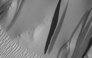<h1>PIA09030:  Why the New Gully Deposits are Not Dry Dust Slope Streaks</h1><div class="PIA09030" lang="en" style="width:780px;text-align:left;margin:auto;background-color:#000;padding:10px;max-height:150px;overflow:auto;"><p>The light-toned deposits that formed in two gully sites on Mars during the Mars Global Surveyor (MGS) Mars Orbiter Camera (MOC) mission in the 1999 to 2005 period are considered to be the result of sediment transport by a fluid with the physical properties of liquid water. The young, light-toned gully deposits were found in a crater in Terra Sirenum (see <a href="/catalog/PIA09027">PIA09027</a> or <a href="http://www.msss.com/mars_images/moc/2006/12/06/gullies/sirenum_crater/index.html">MOC2-1618</a>) and in a crater east of the Hellas basin in the Centauri Montes region (see <a href="/catalog/PIA09028">PIA09028</a> or <a href=" http://www.msss.com/mars_images/moc/2006/12/06/gullies/centauri_crater/index.html">MOC2-1619</a>). </p><p>In their study of how the light-toned gully deposits may have formed, the MOC team considered their resemblance to light- and dark-toned slope streaks found elsewhere on Mars. Slope streaks are most commonly believed to have formed by downslope movement of extremely dry, very fine-grained dust, through processes thought by some to be analogous to terrestrial snow avalanche formation. Figure 1 shows the light-toned gully deposit in the crater in the Centauri Montes region, compared with typical slope streaks and several examples in which the slope streak gives a strong impression of having been produced by fluid-like flow. </p><p><a href="/figures/PIA09030_fig1_anno.jpg"></a><a href="/figures/PIA09030_fig2_anno.jpg"></a><a href="/figures/PIA09030_fig3_anno.jpg"></a><a href="/figures/PIA09030_fig4_anno.jpg"></a>Figure 1A<a href="/figures/PIA09030_fig1_anno.jpg"><br />Annotated Image</a><br /><a href="/figures/PIA09030_fig1.jpg">No Annotation</a>Figure 1B<a href="/figures/PIA09030_fig2_anno.jpg"><br />Annotated Image</a><br /><br />Figure 1C<a href="/figures/PIA09030_fig3_anno.jpg"><br />Annotated Image</a><br /><a href="/figures/PIA09030_fig3.jpg">No Annotation</a>Figure 1D<a href="/figures/PIA09030_fig4_anno.jpg"><br />Annotated Image</a><br /><a href="/figures/PIA09030_fig4.jpg">No Annotation</a>Figure 1. The fresh, light-toned gully deposits have some resemblance to slope streaks. (A) Light-toned gully deposit that formed between August 1999 and February 2004 in a crater in the Centauri Montes region of Mars. (B) Typical dark slope streaks, as seen in a valley in central Arabia Terra. Hundreds of MOC images have shown that the darkest streaks are the youngest; commonly, the darkest streaks are less than a few years old. (C) Dark slope streaks on a slope surrounding a pedestal crater in Tikhonravov Crater in Arabia Terra. These streaks, particularly the two near the center of the image, show evidence that the downslope movement of debris was diverted around obstacles, particularly large boulders. (D) Dark slope streaks, including some that diverted around obstacles, on knobs in the Aeolis region of Mars. The 300 meter scale bars are about 328 yards across; the 150 meter bar is 164 yards.</p><p>As shown in Figure 2, slope streaks can be lighter or darker than their surroundings. The majority of them are dark, and nearly always when light streaks are present, dark ones are nearby. This observation differs from the two light-toned gully deposits observed in Terra Sirenum and the Centauri Montes regions. In the case of the light-toned gully deposits, no dark slope streaks are present anywhere within the craters that they formed. As far as can we can tell, based on MGS MOC and Mars Odyssey <a href="http://themis.asu.edu/" target="blank">Thermal Emission Imaging System (THEMIS)</a> coverage, there are no dark slope streaks within hundreds of kilometers of the two gully deposits. </p><p><a href="/figures/PIA09030_fig5_anno.jpg"></a>Figure 2<a href="/figures/PIA09030_fig5_anno.jpg"><br />Annotated Image</a><br /><a href="/figures/PIA09030_fig5.jpg">No Annotation</a>Figure 2. Slope streaks of both light and dark tone, relative to their surrounding surfaces, in centralArabia Terra. Where light slope streaks are found, dark ones are almost always nearby. The500 meter scale bar is about 547 yards across.</p><p>Figure 3 shows that light and dark slope streaks occur in very specific regions (brown-shaded areas; particularly Tharsis, Amazonis, and near Elysium), and the gullies occur in different regions (pink-shaded areas; particularly middle northern and southern latitudes). In other words, the two fresh, light-toned gully deposits observed by MOC occur very far from the regions in which light and dark slope streaks are found. Indeed, the regions in which slope streaks occur are those that are most thickly covered with mantles of dust. Experience from driving the Sojourner and Mars Exploration Rover, Spirit, on dusty surfaces shows that when the uppermost coating of fine, bright dust is disturbed, the underlying surface is darker. Thus, dark slope streaks are considered to be areas where dust has been disturbed and slid downhill by dry, granular flow. The dust is extremely fine, like the flour used to bake bread. </p><p><a href="/figures/PIA09030_fig6_anno.jpg"></a>Figure 3<a href="/figures/PIA09030_fig6_anno.jpg"><br />Annotated Image</a>Figure 3. This map of Mars shows areas where gullies occur, shaded in pink, and where light and dark slope streaks occur, shaded in brown. The location of the two craters in which MGS MOC observed new, light-toned gully deposits are indicated. Except for a small portion of Tempe Terra (northeast of Tharsis), gullies and slope streaks do not occur together in the same regions. Slope streaks occur in regions that have been known since the Viking orbiter missions to be thickly mantled with dust. Gullies occur at middle and high latitudes, where dust mantles are not so thick. The pink-shaded gully area is based upon the MOC team's survey of over 96,000 MOC narrow angle camera images. The brown-shaded area, representing light and dark slope streak occurrences, comes from a combination of the MOC team's assessment and the published results of <a href="http://www.agu.org/pubs/crossref/2003/2003JE002123.shtml">O. Aharonson, N. Schorghofer, and M. F. Gerstell (2003) Slope streak formation and dust deposition rates on Mars, Journal of Geophysical Research, v. 108, no. E12, doi:10.1029/2003JE002123</a>.</p><p>New dark slope streaks are forming on Mars all the time. MGS MOC images have captured hundreds of before-and-after examples. Figure 4 shows one site that MOC monitored in the Elysium/Cerberus region. </p><p><a href="/figures/PIA09030_fig7_anno.jpg"></a>Figure 4<a href="/figures/PIA09030_fig7_anno.jpg"><br />Annotated Image</a><br /><a href="/figures/PIA09030_fig7.jpg">No Annotation</a>Figure 4. The MOC narrow angle camera has acquired hundreds of images that repeat locations where slope streaks occur. In so doing, MOC captured hundreds of cases where new slope streaks formed. New streaks are always dark, not light. Several examples on hillslopes in the Elysium/Cerberus region are shown here, spanning a period from April 1998 through January 2005. The 300 meter scale bar equals about 328 yards.</p><p>New slopes streaks are always dark. No new light slope streaks have been observed by MOC, despite monitoring over the past 7-9 years at dozens of locations. Figure 5 shows one such example on the wall of Bahram Vallis, in which a suite of light slope streaks remained unchanged over a period spanning September 2000 through December 2005.</p><p><a href="/figures/PIA09030_fig8_anno.jpg"></a>Figure 5<a href="/figures/PIA09030_fig8_anno.jpg"><br />Annotated Image</a><br /><a href="/figures/PIA09030_fig8.jpg">No Annotation</a>Figure 5. Light slope streaks are more rare than dark slope streaks. Curious as to whether new light streaks form under present conditions, just as new dark streaks do, the MOC team monitored dozens of light slope streak sites. But no new light slope streaks have been observed. This time series includes images from 2000, 2003, and 2005; no new streaks formed during this period. The 400 meter scale bar is about 437 yards across. </p><p>Not only have no new light slope streaks been observed, dark streaks have been seen to superpose (i.e., formed or were deposited on top of) light streaks. Figure 6a shows a case where several dark streaks are superimposed on several light streaks. Figure 6b shows a before-and-after example, in which a new dark streak wiped out underlying, older light slope streaks.</p><p><a href="/figures/PIA09030_fig9_anno.jpg"></a><a href="/figures/PIA09030_fig10_anno.jpg"></a>Figure 6A<a href="/figures/PIA09030_fig9_anno.jpg"><br />Annotated Image</a><br /><a href="/figures/PIA09030_fig9.jpg">No Annotation</a>Figure 6B<a href="/figures/PIA09030_fig10_anno.jpg"><br />Annotated Image</a><br /><a href="/figures/PIA09030_fig10.jpg">No Annotation</a>Figure 6. MOC images show that dark slope streaks always superpose light slope streaks, never the other way around. This observation reinforces the view that light slope streaks are not formed by the downslope movement of dust -- when dust moves, it creates a dark streak. Light streaks might therefore be old dark streaks, perhaps trapping light-toned dust better than the adjacent, intermediate-toned slopes. (A) Light and dark slope streaks on the wall of an unnamed valley in central Arabia Terra. Dark streaks in some cases superpose light streaks. (B) Light and dark slope streaks in Arabia Terra in an example where a new, large dark streak formed sometime between January 2001 and August 2003. The new dark streak formed on top of older light slope streaks. The 500 meter scale bars are about 547 yards across. </p><p>The MGS MOC team's experience, gained from examining all of the more than 96,000 MOC narrow angle camera images -- and seeking evidence for changes among gullies, slope streaks, and other variable features on the planet's surface -- is that slope streaks form on very dusty slopes, the newest ones are dark, and older ones lighten with time as new dust is deposited on them. The origin of light slope streaks is not known, although we suspect they are related to dark slope streaks. Dark slope streaks may be dark because they have lost their light dust cover or because disturbed surfaces often have micro-relief that casts miniature shadows on the surface. Slope streaks that are lighter than their surroundings may have trapped newly-fallen dust within this microrelief, and may do so more effectively than adjacent, smooth slopes. </p><p>Slope streaks have attributes that indicate they experienced fluidized motion, but the fluid was less viscous (more fluid) than water-lubricated dirt. As with snow avalanches, the "fluid" was probably atmospheric gas ingested and intimately mixed with the dust as it began and continued to move downslope. Such air-fluidized flows stop more abruptly than do water-fluidized flows on comparable slopes. </p><p>In developing geologic interpretations from inspection of images, many factors are considered: size, relief, shape and pattern, color or brightness, texture, and association (context). Context is often the final discriminator between features that look similar. It is undeniable that the gully deposits resemble slope streaks, but they do not share the same context. If they are slopes streaks formed by downslope movement of dry, unconsolidated dust, then they are extremely rare features, because the new gully deposits (a) do not occur in regions where slope streaks occur, (b) are not found near any dark slope streaks, while typical light slope streaks have dark ones nearby, and (c) formed during the MGS MOC mission, while no new light slope streaks were observed to have formed anywhere else on the planet during the mission. Conversely, their presence within craters with gullies and the existence of similar light-toned features on other gullied (and in some cases on adjacent) slopes, with which they share geomorphic attributes, may be coincidental but is probably not. The gullies themselves provide the context for the gully deposits, and argue for a genetic relationship.</p><p>The Mars Global Surveyor mission is managed for NASA's Office of Space Science, Washington, by the Jet Propulsion Laboratory, a division of the California Institute of Technology, Pasadena. Lockheed Martin Space Systems, Denver, developed and operates the spacecraft. Malin Space Science Systems, San Diego, Calif., built and operates the Mars Orbiter Camera.</p><p>For more information about images from the Mars Orbiter Camera, see <a href="http://www.msss.com/mgs/moc/index.html">http://www.msss.com/mgs/moc/index.html</a>.</p><br /><br /><a href="http://photojournal.jpl.nasa.gov/catalog/PIA09030" onclick="window.open(this.href); return false;" title="Voir l'image 	 PIA09030:  Why the New Gully Deposits are Not Dry Dust Slope Streaks	  sur le site de la NASA">Voir l'image 	 PIA09030:  Why the New Gully Deposits are Not Dry Dust Slope Streaks	  sur le site de la NASA.</a></div>