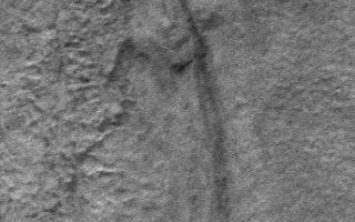 <h1>PIA09031:  Groundwater May be Source for Erosion in Martian Gullies</h1><div class="PIA09031" lang="en" style="width:344px;text-align:left;margin:auto;background-color:#000;padding:10px;max-height:150px;overflow:auto;"><p> <a href="/figures/PIA09031_fig1_anno.jpg"></a> <a href="/figures/PIA09031_fig2_anno.jpg"></a> <a href="/figures/PIA09031_fig3_anno.jpg"></a>Figure A <a href="/figures/PIA09031_fig1_anno.jpg"><br />Annotated Image</a><br /></a><br />Figure B <a href="/figures/PIA09031_fig2_anno.jpg"><br />Annotated Image</a><br /></a> <a href="/figures/PIA09031_fig2.jpg">No Annotation</a>Figure C <a href="/figures/PIA09031_fig3_anno.jpg"><br />Annotated Image</a><br /> <a href="/figures/PIA09031_fig3.jpg">No Annotation</a></p><p>Since their discovery early during the Mars Global Surveyor's Mars Orbiter Camera investigation, as first reported in June 2000, Martian gullies have presented a puzzle for the Mars science community: what fluid was responsible for the erosion that created the channels, and where did it come from? The gullies seem to be quite young in a geologic sense (millions of years or less), yet modern and geologically-recent Mars is an extremely dry place, where water ice sublimates directly to gas when the temperature is warm enough. </p><p>Since June 2000, many hypotheses have been discussed at scientific meetings, in the scientific journals and elsewhere. The original June 2000 hypothesis held that the fluid was liquid water (either pure, salty, acidic, etc.) that came to the surface where slopes intersected conduits of groundwater. Such slopes include crater walls, valley walls, hills, massifs and crater central peaks. Later investigators explored the possibility that rather than liquid groundwater, the source was ground ice, which, under some climate conditions, melted to produce liquid runoff. Still others noted that thick mantles covered a fraction of the gully-bearing slopes, suggesting that the mantles were ancient, dust-covered snow or ice packs that might melt at the base to make liquid water runoff. Water was not the only fluid considered by various colleagues; carbon dioxide can be fluid at some pressures and temperatures. Fluid carbon dioxide was also proposed as a candidate fluidizing agent. Even dry mass movement, or land sliding, of unconsolidated granular material can exhibit some fluid-like behavior. Such mass movements were considered as an explanation for the gullies. </p><p>The presence of channels primarily formed by erosion but also displaying features representing along-channel deposition, such as levees and meanders, and terminal depositional aprons consisting of dozens to hundreds of individual flow lobes, contributed to the general acceptance of the hypothesis that gullies involved the action of liquid water. </p><p>Throughout the Mars Global Surveyor mission, the Mars Orbiter Camera team continued to image gullies at every opportunity, looking for new gullies, taking higher resolution images of previously identified gullies, and monitoring the gullies for changes that might occur. Among the results of this extensive survey are numerous examples of gullies that have geological relations to other things in their vicinity. This provides support for the hypothesis that the fluid responsible for the gullies came from beneath the ground, either as groundwater or melting of ice in the Martian subsurface. Three of the best examples are presented here. </p><p>Figure A: The first picture shows a pair of gully channels that emerge, fully-born at nearly their full width, from beneath small overhangs on the north wall of Dao Vallis. These overhangs are probably created by the presence of a hard-rock layer. Liquid, probably water, percolated through permeable layers just beneath these harder, more resistant rock layers. The arrow points to the place where one of the two neighboring channels emerges. This is a sub-frame of an image acquired on Jan. 10, 2006, located near 34.2 degrees south latitude, 268.1 degrees west longitude. The 150-meter scale bar is about 164 yards wide. </p><p>Figure B: The second picture shows a gully that formed on the wall of a crater that intersected a mare-type ridge. The term, mare, is from the dark volcanic plains of Earth's moon, for example Mare Tranquilitatis was the plain on which the Apollo 11 crew landed in 1969. The lunar maria (maria is the plural form of mare), when viewed from above, have many "wrinkle" ridges. These ridges are the surface expression of thrust faults. The mare-type ridge in the picture shown here is thus the product of faulting, as rocks on the west (left) side of the image were thrust toward the east (right). Finding a gully associated with a fault is excellent evidence for the groundwater hypothesis, because ground water percolates through cracks and pores in the ground. On Earth, springs (where groundwater comes to the surface) are often found along fault lines. What is most important about this particular Martian gully is that it occurs equatorward of 30 degrees south, which is extremely unusual. The only gully in this crater is the one associated with the fault. It is essentially the site of a spring, now dried up perhaps. This picture is a sub-frame of an image located near 29.1 degrees south latitude, 207.5 degrees west longitude, acquired on Jan. 17, 2005. </p><p>Figure C: The third picture shows a small crater on the rim of a larger crater. Only a small portion of the wall of this larger crater is captured in the image. Immediately beneath the small crater occurs a group of gullies. The presence of these gullies also supports the groundwater hypothesis because impacting meteors will fracture the rocks into which they form a crater. In this case, there would be an initial set of subsurface fractures caused by the large impact that created the original, large crater. Then, when the smaller crater formed, it would have created additional fractures in its vicinity. These extra fractures would then have provided pathways, or conduits, through which ground water would come to the surface on the wall of the larger crater, thus creating the gullies observed. One might speculate that the group of gullies was formed by the impact that made the small crater, because of the heat and fracturing of rock during the impact process. However, the gullies are much younger than the small crater; the ejecta from the small crater has been largely eroded away or buried, and the crater partially filled, while the gullies appear sharp, crisp and fresh. This is a portion of an image located near 33.9 degrees south latitude, 160 degrees west longitude, acquired on March 31, 2006. </p><p>The Mars Global Surveyor mission is managed for NASA's Office of Space Science, Washington, by NASA's Jet Propulsion Laboratory, Pasadena, Calif., a division of the California Institute of Technology, also in Pasadena. Lockheed Martin Space Systems, Denver, developed and operates the spacecraft. Malin Space Science Systems, San Diego, Calif., built and operates the Mars Orbiter Camera.</p><p>For more information about images from the Mars Orbiter Camera, see <a href="http://www.msss.com/mgs/moc/index.html">http://www.msss.com/mgs/moc/index.html</a>.</p><br /><br /><a href="http://photojournal.jpl.nasa.gov/catalog/PIA09031" onclick="window.open(this.href); return false;" title="Voir l'image 	 PIA09031:  Groundwater May be Source for Erosion in Martian Gullies	  sur le site de la NASA">Voir l'image 	 PIA09031:  Groundwater May be Source for Erosion in Martian Gullies	  sur le site de la NASA.</a></div>