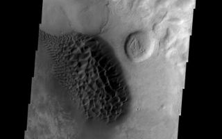 <h1>PIA09130:  Sand Dunes</h1><div class="PIA09130" lang="en" style="width:514px;text-align:left;margin:auto;background-color:#000;padding:10px;max-height:150px;overflow:auto;"><p><a href="/figures/PIA09130_fig1.jpg"></a><br><b>Context image for PIA09130<br /> Sand Dunes</b></p><p>This region of dark sand dunes is located on the floor of an unnamed crater south of Bosporos Planum.<p>Image information: VIS instrument. Latitude -41.1N, Longitude 297.7E. 17 meter/pixel resolution.</p><p>Please see the <a href="http://themis.asu.edu/terms" target="_blank">THEMIS Data Citation Note</a> for details on crediting THEMIS images.</p><p>Note: this THEMIS visual image has not been radiometrically nor geometrically calibrated for this preliminary release. An empirical correction has been performed to remove instrumental effects. A linear shift has been applied in the cross-track and down-track direction to approximate spacecraft and planetary motion. Fully calibrated and geometrically projected images will be released through the Planetary Data System in accordance with Project policies at a later time.</p><p>NASA's Jet Propulsion Laboratory manages the 2001 Mars Odyssey mission for NASA's Office of Space Science, Washington, D.C. The Thermal Emission Imaging System (THEMIS) was developed by Arizona State University, Tempe, in collaboration with Raytheon Santa Barbara Remote Sensing. The THEMIS investigation is led by Dr. Philip Christensen at Arizona State University. Lockheed Martin Astronautics, Denver, is the prime contractor for the Odyssey project, and developed and built the orbiter. Mission operations are conducted jointly from Lockheed Martin and from JPL, a division of the California Institute of Technology in Pasadena.</p><br /><br /><a href="http://photojournal.jpl.nasa.gov/catalog/PIA09130" onclick="window.open(this.href); return false;" title="Voir l'image 	 PIA09130:  Sand Dunes	  sur le site de la NASA">Voir l'image 	 PIA09130:  Sand Dunes	  sur le site de la NASA.</a></div>