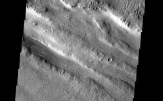 <h1>PIA09141:  Wind Work</h1><div class="PIA09141" lang="en" style="width:595px;text-align:left;margin:auto;background-color:#000;padding:10px;max-height:150px;overflow:auto;"><p><a href="/figures/PIA09141_fig1.jpg"></a><br><b>Context image for PIA09141<br /> Wind Work</b></p><p>Located between Lycus Sulci and Acheron Fossae, the surface in this region has been modified by the wind. The bottom half of the image contains linear sand dunes.<p>Image information: VIS instrument. Latitude 36.9N, Longitude 225.9E. 19 meter/pixel resolution.</p><p>Please see the <a href="http://themis.asu.edu/terms" target="_blank">THEMIS Data Citation Note</a> for details on crediting THEMIS images.</p><p>Note: this THEMIS visual image has not been radiometrically nor geometrically calibrated for this preliminary release. An empirical correction has been performed to remove instrumental effects. A linear shift has been applied in the cross-track and down-track direction to approximate spacecraft and planetary motion. Fully calibrated and geometrically projected images will be released through the Planetary Data System in accordance with Project policies at a later time.</p><p>NASA's Jet Propulsion Laboratory manages the 2001 Mars Odyssey mission for NASA's Office of Space Science, Washington, D.C. The Thermal Emission Imaging System (THEMIS) was developed by Arizona State University, Tempe, in collaboration with Raytheon Santa Barbara Remote Sensing. The THEMIS investigation is led by Dr. Philip Christensen at Arizona State University. Lockheed Martin Astronautics, Denver, is the prime contractor for the Odyssey project, and developed and built the orbiter. Mission operations are conducted jointly from Lockheed Martin and from JPL, a division of the California Institute of Technology in Pasadena.</p><br /><br /><a href="http://photojournal.jpl.nasa.gov/catalog/PIA09141" onclick="window.open(this.href); return false;" title="Voir l'image 	 PIA09141:  Wind Work	  sur le site de la NASA">Voir l'image 	 PIA09141:  Wind Work	  sur le site de la NASA.</a></div>