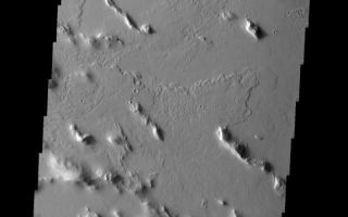 <h1>PIA09146:  Gordii Sulci</h1><div class="PIA09146" lang="en" style="width:574px;text-align:left;margin:auto;background-color:#000;padding:10px;max-height:150px;overflow:auto;"><p><a href="/figures/PIA09146_fig1.jpg"></a><br><b>Context image for PIA09146<br /> Gordii Sulci</b></p><p>The ridges and infilling lava flows make up the region termed Gordii Sulci.<p>Image information: VIS instrument. Latitude 19.6N, Longitude 233.9E. 18 meter/pixel resolution.</p><p>Please see the <a href="http://themis.asu.edu/terms" target="_blank">THEMIS Data Citation Note</a> for details on crediting THEMIS images.</p><p>Note: this THEMIS visual image has not been radiometrically nor geometrically calibrated for this preliminary release. An empirical correction has been performed to remove instrumental effects. A linear shift has been applied in the cross-track and down-track direction to approximate spacecraft and planetary motion. Fully calibrated and geometrically projected images will be released through the Planetary Data System in accordance with Project policies at a later time.</p><p>NASA's Jet Propulsion Laboratory manages the 2001 Mars Odyssey mission for NASA's Office of Space Science, Washington, D.C. The Thermal Emission Imaging System (THEMIS) was developed by Arizona State University, Tempe, in collaboration with Raytheon Santa Barbara Remote Sensing. The THEMIS investigation is led by Dr. Philip Christensen at Arizona State University. Lockheed Martin Astronautics, Denver, is the prime contractor for the Odyssey project, and developed and built the orbiter. Mission operations are conducted jointly from Lockheed Martin and from JPL, a division of the California Institute of Technology in Pasadena.</p><br /><br /><a href="http://photojournal.jpl.nasa.gov/catalog/PIA09146" onclick="window.open(this.href); return false;" title="Voir l'image 	 PIA09146:  Gordii Sulci	  sur le site de la NASA">Voir l'image 	 PIA09146:  Gordii Sulci	  sur le site de la NASA.</a></div>