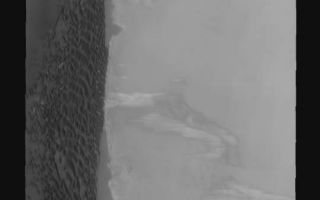 <h1>PIA09149:  Polar Dunes</h1><div class="PIA09149" lang="en" style="width:540px;text-align:left;margin:auto;background-color:#000;padding:10px;max-height:150px;overflow:auto;"><p><a href="/figures/PIA09149_fig1.jpg"></a><br><b>Context image for PIA09149<br /> Polar Dunes</b></p><p>These north polar dunes are found on the floor of Chasma Boreale.<p>Image information: VIS instrument. Latitude 81.8N, Longitude 312.6E. 20 meter/pixel resolution.</p><p>Please see the <a href="http://themis.asu.edu/terms" target="_blank">THEMIS Data Citation Note</a> for details on crediting THEMIS images.</p><p>Note: this THEMIS visual image has not been radiometrically nor geometrically calibrated for this preliminary release. An empirical correction has been performed to remove instrumental effects. A linear shift has been applied in the cross-track and down-track direction to approximate spacecraft and planetary motion. Fully calibrated and geometrically projected images will be released through the Planetary Data System in accordance with Project policies at a later time.</p><p>NASA's Jet Propulsion Laboratory manages the 2001 Mars Odyssey mission for NASA's Office of Space Science, Washington, D.C. The Thermal Emission Imaging System (THEMIS) was developed by Arizona State University, Tempe, in collaboration with Raytheon Santa Barbara Remote Sensing. The THEMIS investigation is led by Dr. Philip Christensen at Arizona State University. Lockheed Martin Astronautics, Denver, is the prime contractor for the Odyssey project, and developed and built the orbiter. Mission operations are conducted jointly from Lockheed Martin and from JPL, a division of the California Institute of Technology in Pasadena.</p><br /><br /><a href="http://photojournal.jpl.nasa.gov/catalog/PIA09149" onclick="window.open(this.href); return false;" title="Voir l'image 	 PIA09149:  Polar Dunes	  sur le site de la NASA">Voir l'image 	 PIA09149:  Polar Dunes	  sur le site de la NASA.</a></div>