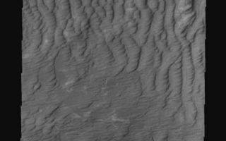 <h1>PIA09151:  Polar Dunes</h1><div class="PIA09151" lang="en" style="width:426px;text-align:left;margin:auto;background-color:#000;padding:10px;max-height:150px;overflow:auto;"><p><a href="/figures/PIA09151_fig1.jpg"></a><br><b>Context image for PIA09151<br /> Polar Dunes</b></p><p>These sand dunes are part of the sand sea that surrounds the south polar cap.<p>Image information: VIS instrument. Latitude -71.6N, Longitude 143.7E. 17 meter/pixel resolution.</p><p>Please see the <a href="http://themis.asu.edu/terms" target="_blank">THEMIS Data Citation Note</a> for details on crediting THEMIS images.</p><p>Note: this THEMIS visual image has not been radiometrically nor geometrically calibrated for this preliminary release. An empirical correction has been performed to remove instrumental effects. A linear shift has been applied in the cross-track and down-track direction to approximate spacecraft and planetary motion. Fully calibrated and geometrically projected images will be released through the Planetary Data System in accordance with Project policies at a later time.</p><p>NASA's Jet Propulsion Laboratory manages the 2001 Mars Odyssey mission for NASA's Office of Space Science, Washington, D.C. The Thermal Emission Imaging System (THEMIS) was developed by Arizona State University, Tempe, in collaboration with Raytheon Santa Barbara Remote Sensing. The THEMIS investigation is led by Dr. Philip Christensen at Arizona State University. Lockheed Martin Astronautics, Denver, is the prime contractor for the Odyssey project, and developed and built the orbiter. Mission operations are conducted jointly from Lockheed Martin and from JPL, a division of the California Institute of Technology in Pasadena.</p><br /><br /><a href="http://photojournal.jpl.nasa.gov/catalog/PIA09151" onclick="window.open(this.href); return false;" title="Voir l'image 	 PIA09151:  Polar Dunes	  sur le site de la NASA">Voir l'image 	 PIA09151:  Polar Dunes	  sur le site de la NASA.</a></div>