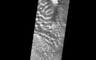 <h1>PIA09157:  Russell Crater</h1><div class="PIA09157" lang="en" style="width:265px;text-align:left;margin:auto;background-color:#000;padding:10px;max-height:150px;overflow:auto;"><p><a href="/figures/PIA09157_fig1.jpg"></a><br><b>Context image for PIA09157<br />Russell Crater</b></p><p>This image shows part of the dune field located on the floor of Russell Crater.<p>Image information: VIS instrument. Latitude -54.6N, Longitude 13.0E. 34 meter/pixel resolution.</p><p>Please see the <a href="http://themis.asu.edu/terms" target="_blank">THEMIS Data Citation Note</a> for details on crediting THEMIS images.</p><p>Note: this THEMIS visual image has not been radiometrically nor geometrically calibrated for this preliminary release. An empirical correction has been performed to remove instrumental effects. A linear shift has been applied in the cross-track and down-track direction to approximate spacecraft and planetary motion. Fully calibrated and geometrically projected images will be released through the Planetary Data System in accordance with Project policies at a later time.</p><p>NASA's Jet Propulsion Laboratory manages the 2001 Mars Odyssey mission for NASA's Office of Space Science, Washington, D.C. The Thermal Emission Imaging System (THEMIS) was developed by Arizona State University, Tempe, in collaboration with Raytheon Santa Barbara Remote Sensing. The THEMIS investigation is led by Dr. Philip Christensen at Arizona State University. Lockheed Martin Astronautics, Denver, is the prime contractor for the Odyssey project, and developed and built the orbiter. Mission operations are conducted jointly from Lockheed Martin and from JPL, a division of the California Institute of Technology in Pasadena.</p><br /><br /><a href="http://photojournal.jpl.nasa.gov/catalog/PIA09157" onclick="window.open(this.href); return false;" title="Voir l'image 	 PIA09157:  Russell Crater	  sur le site de la NASA">Voir l'image 	 PIA09157:  Russell Crater	  sur le site de la NASA.</a></div>