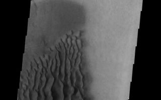 <h1>PIA09289:  Dunes</h1><div class="PIA09289" lang="en" style="width:553px;text-align:left;margin:auto;background-color:#000;padding:10px;max-height:150px;overflow:auto;"><p><a href="/figures/PIA09289_fig1.jpg"></a><br><b>Context image for PIA09289<br />Dunes</b></p><p>This field of dunes in located of the floor of an unnamed crater north of Proctor Crater.<p>Image information: VIS instrument. Latitude -45.0N, Longitude 29.1E. 17 meter/pixel resolution.</p><p>Please see the <a href="http://themis.asu.edu/terms" target="_blank">THEMIS Data Citation Note</a> for details on crediting THEMIS images.</p><p>Note: this THEMIS visual image has not been radiometrically nor geometrically calibrated for this preliminary release. An empirical correction has been performed to remove instrumental effects. A linear shift has been applied in the cross-track and down-track direction to approximate spacecraft and planetary motion. Fully calibrated and geometrically projected images will be released through the Planetary Data System in accordance with Project policies at a later time.</p><p>NASA's Jet Propulsion Laboratory manages the 2001 Mars Odyssey mission for NASA's Office of Space Science, Washington, D.C. The Thermal Emission Imaging System (THEMIS) was developed by Arizona State University, Tempe, in collaboration with Raytheon Santa Barbara Remote Sensing. The THEMIS investigation is led by Dr. Philip Christensen at Arizona State University. Lockheed Martin Astronautics, Denver, is the prime contractor for the Odyssey project, and developed and built the orbiter. Mission operations are conducted jointly from Lockheed Martin and from JPL, a division of the California Institute of Technology in Pasadena.</p><br /><br /><a href="http://photojournal.jpl.nasa.gov/catalog/PIA09289" onclick="window.open(this.href); return false;" title="Voir l'image 	 PIA09289:  Dunes	  sur le site de la NASA">Voir l'image 	 PIA09289:  Dunes	  sur le site de la NASA.</a></div>