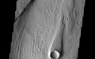 <h1>PIA09310:  Mangala Vallis</h1><div class="PIA09310" lang="en" style="width:556px;text-align:left;margin:auto;background-color:#000;padding:10px;max-height:150px;overflow:auto;"><p><a href="/figures/PIA09310_fig1.jpg"></a><br><b>Context image for PIA09310<br />Mangala Vallis</b></p><p>This image shows part of Managala Vallis, including a streamlined island. The narrow tail of the island points downstream.<p>Image information: VIS instrument. Latitude -15.4N, Longitude 209.9E. 18 meter/pixel resolution.</p><p>Please see the <a href="http://themis.asu.edu/terms" target="_blank">THEMIS Data Citation Note</a> for details on crediting THEMIS images.</p><p>Note: this THEMIS visual image has not been radiometrically nor geometrically calibrated for this preliminary release. An empirical correction has been performed to remove instrumental effects. A linear shift has been applied in the cross-track and down-track direction to approximate spacecraft and planetary motion. Fully calibrated and geometrically projected images will be released through the Planetary Data System in accordance with Project policies at a later time.</p><p>NASA's Jet Propulsion Laboratory manages the 2001 Mars Odyssey mission for NASA's Office of Space Science, Washington, D.C. The Thermal Emission Imaging System (THEMIS) was developed by Arizona State University, Tempe, in collaboration with Raytheon Santa Barbara Remote Sensing. The THEMIS investigation is led by Dr. Philip Christensen at Arizona State University. Lockheed Martin Astronautics, Denver, is the prime contractor for the Odyssey project, and developed and built the orbiter. Mission operations are conducted jointly from Lockheed Martin and from JPL, a division of the California Institute of Technology in Pasadena.</p><br /><br /><a href="http://photojournal.jpl.nasa.gov/catalog/PIA09310" onclick="window.open(this.href); return false;" title="Voir l'image 	 PIA09310:  Mangala Vallis	  sur le site de la NASA">Voir l'image 	 PIA09310:  Mangala Vallis	  sur le site de la NASA.</a></div>