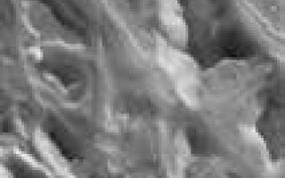 <h1>PIA09315:  Landslides in IR</h1><div class="PIA09315" lang="en" style="width:106px;text-align:left;margin:auto;background-color:#000;padding:10px;max-height:150px;overflow:auto;"><p><a href="/figures/PIA09315_fig1.jpg"></a><br><b>Context image for PIA09315<br />Landslides in IR</b></p><p>The top portion of this infrared image shows part of Hydraotes Chaos. At the bottom of the image are several landslides along a channel wall. With the dust cover of the landslides and the channel floor being similar, the temperatures of both features are similar. It is more difficult to "see" these landslides in the infrared than with the VIS camera.<p>Image information: IR instrument. Latitude -0.2N, Longitude 325.0E. 99 meter/pixel resolution.</p><p>Please see the <a href="http://themis.asu.edu/terms" target="_blank">THEMIS Data Citation Note</a> for details on crediting THEMIS images.</p><p>Note: this THEMIS visual image has not been radiometrically nor geometrically calibrated for this preliminary release. An empirical correction has been performed to remove instrumental effects. A linear shift has been applied in the cross-track and down-track direction to approximate spacecraft and planetary motion. Fully calibrated and geometrically projected images will be released through the Planetary Data System in accordance with Project policies at a later time.</p><p>NASA's Jet Propulsion Laboratory manages the 2001 Mars Odyssey mission for NASA's Office of Space Science, Washington, D.C. The Thermal Emission Imaging System (THEMIS) was developed by Arizona State University, Tempe, in collaboration with Raytheon Santa Barbara Remote Sensing. The THEMIS investigation is led by Dr. Philip Christensen at Arizona State University. Lockheed Martin Astronautics, Denver, is the prime contractor for the Odyssey project, and developed and built the orbiter. Mission operations are conducted jointly from Lockheed Martin and from JPL, a division of the California Institute of Technology in Pasadena.</p><br /><br /><a href="http://photojournal.jpl.nasa.gov/catalog/PIA09315" onclick="window.open(this.href); return false;" title="Voir l'image 	 PIA09315:  Landslides in IR	  sur le site de la NASA">Voir l'image 	 PIA09315:  Landslides in IR	  sur le site de la NASA.</a></div>