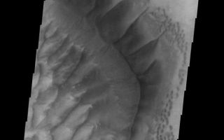 <h1>PIA09317:  Russell Crater - VIS</h1><div class="PIA09317" lang="en" style="width:563px;text-align:left;margin:auto;background-color:#000;padding:10px;max-height:150px;overflow:auto;"><p><a href="/figures/PIA09317_fig1.jpg"></a><br><b>Context image for PIA09317<br />Russell Crater - VIS</b></p><p>This VIS camera image was taken at the same time as the infrared image that was the previous image of the day. There is more detail in the VIS due to the higher resolution of the image. Note that the dunes are dark in tone, whereas the previous image showed them as a bright feature [warm in temperature].<p>Image information: VIS instrument. Latitude -54.3N, Longitude 13.0E. 17 meter/pixel resolution.</p><p>Please see the <a href="http://themis.asu.edu/terms" target="_blank">THEMIS Data Citation Note</a> for details on crediting THEMIS images.</p><p>Note: this THEMIS visual image has not been radiometrically nor geometrically calibrated for this preliminary release. An empirical correction has been performed to remove instrumental effects. A linear shift has been applied in the cross-track and down-track direction to approximate spacecraft and planetary motion. Fully calibrated and geometrically projected images will be released through the Planetary Data System in accordance with Project policies at a later time.</p><p>NASA's Jet Propulsion Laboratory manages the 2001 Mars Odyssey mission for NASA's Office of Space Science, Washington, D.C. The Thermal Emission Imaging System (THEMIS) was developed by Arizona State University, Tempe, in collaboration with Raytheon Santa Barbara Remote Sensing. The THEMIS investigation is led by Dr. Philip Christensen at Arizona State University. Lockheed Martin Astronautics, Denver, is the prime contractor for the Odyssey project, and developed and built the orbiter. Mission operations are conducted jointly from Lockheed Martin and from JPL, a division of the California Institute of Technology in Pasadena.</p><br /><br /><a href="http://photojournal.jpl.nasa.gov/catalog/PIA09317" onclick="window.open(this.href); return false;" title="Voir l'image 	 PIA09317:  Russell Crater - VIS	  sur le site de la NASA">Voir l'image 	 PIA09317:  Russell Crater - VIS	  sur le site de la NASA.</a></div>
