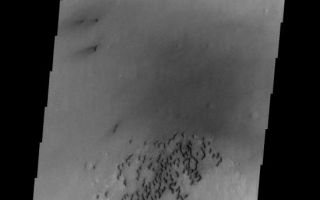 <h1>PIA09448:  Dunes on Wirtz Crater</h1><div class="PIA09448" lang="en" style="width:549px;text-align:left;margin:auto;background-color:#000;padding:10px;max-height:150px;overflow:auto;"><p><a href="/figures/PIA09448_fig1.jpg"></a><br><b>Context image for PIA09448<br />Dunes</b></p><p>These sand dunes are located on the floor of Wirtz Crater. Wirtz Crater is one of the candidate MSL (Mars Sceince Laboratory) landing sites.<p>Image information: VIS instrument. Latitude -47.9N, Longitude 334.9E. 17 meter/pixel resolution.</p><p>Please see the <a href="http://themis.asu.edu/terms" target="_blank">THEMIS Data Citation Note</a> for details on crediting THEMIS images.</p><p>Note: this THEMIS visual image has not been radiometrically nor geometrically calibrated for this preliminary release. An empirical correction has been performed to remove instrumental effects. A linear shift has been applied in the cross-track and down-track direction to approximate spacecraft and planetary motion. Fully calibrated and geometrically projected images will be released through the Planetary Data System in accordance with Project policies at a later time.</p><p>NASA's Jet Propulsion Laboratory manages the 2001 Mars Odyssey mission for NASA's Office of Space Science, Washington, D.C. The Thermal Emission Imaging System (THEMIS) was developed by Arizona State University, Tempe, in collaboration with Raytheon Santa Barbara Remote Sensing. The THEMIS investigation is led by Dr. Philip Christensen at Arizona State University. Lockheed Martin Astronautics, Denver, is the prime contractor for the Odyssey project, and developed and built the orbiter. Mission operations are conducted jointly from Lockheed Martin and from JPL, a division of the California Institute of Technology in Pasadena.</p><br /><br /><a href="http://photojournal.jpl.nasa.gov/catalog/PIA09448" onclick="window.open(this.href); return false;" title="Voir l'image 	 PIA09448:  Dunes on Wirtz Crater	  sur le site de la NASA">Voir l'image 	 PIA09448:  Dunes on Wirtz Crater	  sur le site de la NASA.</a></div>