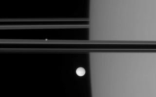 <h1>PIA09791:  Off Saturn's Shoulder</h1><div class="PIA09791" lang="en" style="width:800px;text-align:left;margin:auto;background-color:#000;padding:10px;max-height:150px;overflow:auto;"><p>The Cassini spacecraft spies Enceladus and Epimetheus near the limb of Saturn.</p><p>Geologically active Enceladus is 505 kilometers (314 miles) across; smaller, more irregularly shaped Epimetheus is 116 kilometers (72 miles) across.</p><p>This view looks toward the unilluminated side of the rings from less than a degree above the ringplane.</p><p>The image was taken in polarized green light with the Cassini spacecraft narrow-angle camera on Oct. 27, 2007. The view was acquired at a distance of approximately 1.4 million kilometers (857,000 miles) from Enceladus. Epimetheus is 91,000 kilometers (57,000 miles) farther away from Cassini here. Image scale is about 8 kilometers (5 miles) per pixel on both moons.</p><p>The Cassini-Huygens mission is a cooperative project of NASA, the European Space Agency and the Italian Space Agency. The Jet Propulsion Laboratory, a division of the California Institute of Technology in Pasadena, manages the mission for NASA's Science Mission Directorate, Washington, D.C. The Cassini orbiter and its two onboard cameras were designed, developed and assembled at JPL. The imaging operations center is based at the Space Science Institute in Boulder, Colo.</p><p>For more information about the Cassini-Huygens mission visit <a href="http://saturn.jpl.nasa.gov">http://saturn.jpl.nasa.gov/home/index.cfm</a>. The Cassini imaging team homepage is at <a href="http://ciclops.org">http://ciclops.org</a>.<br /><br /><a href="http://photojournal.jpl.nasa.gov/catalog/PIA09791" onclick="window.open(this.href); return false;" title="Voir l'image 	 PIA09791:  Off Saturn's Shoulder	  sur le site de la NASA">Voir l'image 	 PIA09791:  Off Saturn's Shoulder	  sur le site de la NASA.</a></div>