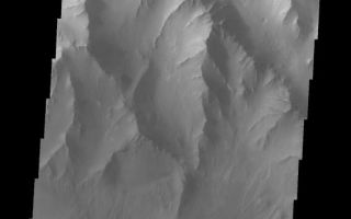 <h1>PIA09982:  Coprates Chasma</h1><div class="PIA09982" lang="en" style="width:566px;text-align:left;margin:auto;background-color:#000;padding:10px;max-height:150px;overflow:auto;"><p><a href="/figures/PIA09982_fig1.jpg"></a><br><b>Context image for PIA09982<br />Coprates Chasma</b></p><p>The major Martian dust storm of 2007 filled the sky with dust and produced conditions that prevented the THEMIS VIS camera from being able to image the surface. With no new images being acquired, we've dug into the archive to highlight some interesting areas on Mars. The this week's region is Valles Marineris. This image of Coprates Chasma is a bit hazy at the canyon floor. Note the large landslide at the bottom third of the image.<p>Image information: VIS instrument. Latitude -10.9N, Longitude 292.4E. 18 meter/pixel resolution.</p><p>Please see the <a href="http://themis.asu.edu/terms" target="_blank">THEMIS Data Citation Note</a> for details on crediting THEMIS images.</p><p>Note: this THEMIS visual image has not been radiometrically nor geometrically calibrated for this preliminary release. An empirical correction has been performed to remove instrumental effects. A linear shift has been applied in the cross-track and down-track direction to approximate spacecraft and planetary motion. Fully calibrated and geometrically projected images will be released through the Planetary Data System in accordance with Project policies at a later time.</p><p>NASA's Jet Propulsion Laboratory manages the 2001 Mars Odyssey mission for NASA's Office of Space Science, Washington, D.C. The Thermal Emission Imaging System (THEMIS) was developed by Arizona State University, Tempe, in collaboration with Raytheon Santa Barbara Remote Sensing. The THEMIS investigation is led by Dr. Philip Christensen at Arizona State University. Lockheed Martin Astronautics, Denver, is the prime contractor for the Odyssey project, and developed and built the orbiter. Mission operations are conducted jointly from Lockheed Martin and from JPL, a division of the California Institute of Technology in Pasadena.</p><br /><br /><a href="http://photojournal.jpl.nasa.gov/catalog/PIA09982" onclick="window.open(this.href); return false;" title="Voir l'image 	 PIA09982:  Coprates Chasma	  sur le site de la NASA">Voir l'image 	 PIA09982:  Coprates Chasma	  sur le site de la NASA.</a></div>