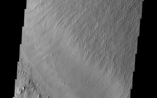 <h1>PIA10025:  Medusa Fossae Textures</h1><div class="PIA10025" lang="en" style="width:577px;text-align:left;margin:auto;background-color:#000;padding:10px;max-height:150px;overflow:auto;"><p><a href="/figures/PIA10025_fig1.jpg"></a><br><b>Context image for PIA10025<br />Medusa Fossae Textures</b></p><p>The Medusa Fossae Formation is located east of the Tharsis volcanoes. The material(s) of the formation are easily eroded by the wind and many different wind sculpted textures are found in images of this region.The hill at the bottom of this image is the same hill at the top of tomorrow's image.<p>Image information: VIS instrument. Latitude -9.0N, Longitude 183.9E. 18 meter/pixel resolution.</p><p>Please see the <a href="http://themis.asu.edu/terms" target="_blank">THEMIS Data Citation Note</a> for details on crediting THEMIS images.</p><p>Note: this THEMIS visual image has not been radiometrically nor geometrically calibrated for this preliminary release. An empirical correction has been performed to remove instrumental effects. A linear shift has been applied in the cross-track and down-track direction to approximate spacecraft and planetary motion. Fully calibrated and geometrically projected images will be released through the Planetary Data System in accordance with Project policies at a later time.</p><p>NASA's Jet Propulsion Laboratory manages the 2001 Mars Odyssey mission for NASA's Office of Space Science, Washington, D.C. The Thermal Emission Imaging System (THEMIS) was developed by Arizona State University, Tempe, in collaboration with Raytheon Santa Barbara Remote Sensing. The THEMIS investigation is led by Dr. Philip Christensen at Arizona State University. Lockheed Martin Astronautics, Denver, is the prime contractor for the Odyssey project, and developed and built the orbiter. Mission operations are conducted jointly from Lockheed Martin and from JPL, a division of the California Institute of Technology in Pasadena.<br /><br /><a href="http://photojournal.jpl.nasa.gov/catalog/PIA10025" onclick="window.open(this.href); return false;" title="Voir l'image 	 PIA10025:  Medusa Fossae Textures	  sur le site de la NASA">Voir l'image 	 PIA10025:  Medusa Fossae Textures	  sur le site de la NASA.</a></div>