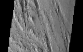 <h1>PIA10026:  Medusa Fossae Textures</h1><div class="PIA10026" lang="en" style="width:554px;text-align:left;margin:auto;background-color:#000;padding:10px;max-height:150px;overflow:auto;"><p><a href="/figures/PIA10026_fig1.jpg"></a><br><b>Context image for PIA10026<br />Medusa Fossae Textures</b></p><p>The Medusa Fossae Formation is located east of the Tharsis volcanoes. The material(s) of the formation are easily eroded by the wind and many different wind sculpted textures are found in images of this region.The hill at the top of this image is the same hill from the bottom of yesterday's image.<p>Image information: VIS instrument. Latitude -9.7N, Longitude 183.9E. 18 meter/pixel resolution.</p><p>Please see the <a href="http://themis.asu.edu/terms" target="_blank">THEMIS Data Citation Note</a> for details on crediting THEMIS images.</p><p>Note: this THEMIS visual image has not been radiometrically nor geometrically calibrated for this preliminary release. An empirical correction has been performed to remove instrumental effects. A linear shift has been applied in the cross-track and down-track direction to approximate spacecraft and planetary motion. Fully calibrated and geometrically projected images will be released through the Planetary Data System in accordance with Project policies at a later time.</p><p>NASA's Jet Propulsion Laboratory manages the 2001 Mars Odyssey mission for NASA's Office of Space Science, Washington, D.C. The Thermal Emission Imaging System (THEMIS) was developed by Arizona State University, Tempe, in collaboration with Raytheon Santa Barbara Remote Sensing. The THEMIS investigation is led by Dr. Philip Christensen at Arizona State University. Lockheed Martin Astronautics, Denver, is the prime contractor for the Odyssey project, and developed and built the orbiter. Mission operations are conducted jointly from Lockheed Martin and from JPL, a division of the California Institute of Technology in Pasadena.<br /><br /><a href="http://photojournal.jpl.nasa.gov/catalog/PIA10026" onclick="window.open(this.href); return false;" title="Voir l'image 	 PIA10026:  Medusa Fossae Textures	  sur le site de la NASA">Voir l'image 	 PIA10026:  Medusa Fossae Textures	  sur le site de la NASA.</a></div>