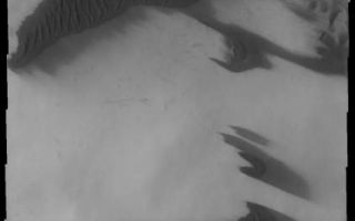 <h1>PIA10048:  Southern Dunes</h1><div class="PIA10048" lang="en" style="width:422px;text-align:left;margin:auto;background-color:#000;padding:10px;max-height:150px;overflow:auto;"><p><a href="/figures/PIA10048_fig1.jpg"></a><br><b>Context image for PIA10048<br />Southern Dunes</b></p><p>The dark dunes in this VIS image occur both on the crater floor and on the plains surrounding the crater. Note the small backwards shaped "C," a single sand dune on the move.<p>Image information: VIS instrument. Latitude -69.1N, Longitude 118.5E. 17 meter/pixel resolution.</p><p>Please see the <a href="http://themis.asu.edu/terms" target="_blank">THEMIS Data Citation Note</a> for details on crediting THEMIS images.</p><p>Note: this THEMIS visual image has not been radiometrically nor geometrically calibrated for this preliminary release. An empirical correction has been performed to remove instrumental effects. A linear shift has been applied in the cross-track and down-track direction to approximate spacecraft and planetary motion. Fully calibrated and geometrically projected images will be released through the Planetary Data System in accordance with Project policies at a later time.</p><p>NASA's Jet Propulsion Laboratory manages the 2001 Mars Odyssey mission for NASA's Office of Space Science, Washington, D.C. The Thermal Emission Imaging System (THEMIS) was developed by Arizona State University, Tempe, in collaboration with Raytheon Santa Barbara Remote Sensing. The THEMIS investigation is led by Dr. Philip Christensen at Arizona State University. Lockheed Martin Astronautics, Denver, is the prime contractor for the Odyssey project, and developed and built the orbiter. Mission operations are conducted jointly from Lockheed Martin and from JPL, a division of the California Institute of Technology in Pasadena.</p><br /><br /><a href="http://photojournal.jpl.nasa.gov/catalog/PIA10048" onclick="window.open(this.href); return false;" title="Voir l'image 	 PIA10048:  Southern Dunes	  sur le site de la NASA">Voir l'image 	 PIA10048:  Southern Dunes	  sur le site de la NASA.</a></div>