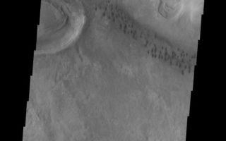 <h1>PIA10051:  Argyre Dunes</h1><div class="PIA10051" lang="en" style="width:543px;text-align:left;margin:auto;background-color:#000;padding:10px;max-height:150px;overflow:auto;"><p><a href="/figures/PIA10051_fig1.jpg"></a><br><b>Context image for PIA10051<br />Argyre Dunes</b></p><p>The string of individual dark dunes visible in this image are located in the Neredum Montes region of the Argyre Basin.<p>Image information: VIS instrument. Latitude -39.9N, Longitude 311.9E. 17 meter/pixel resolution.</p><p>Please see the <a href="http://themis.asu.edu/terms" target="_blank">THEMIS Data Citation Note</a> for details on crediting THEMIS images.</p><p>Note: this THEMIS visual image has not been radiometrically nor geometrically calibrated for this preliminary release. An empirical correction has been performed to remove instrumental effects. A linear shift has been applied in the cross-track and down-track direction to approximate spacecraft and planetary motion. Fully calibrated and geometrically projected images will be released through the Planetary Data System in accordance with Project policies at a later time.</p><p>NASA's Jet Propulsion Laboratory manages the 2001 Mars Odyssey mission for NASA's Office of Space Science, Washington, D.C. The Thermal Emission Imaging System (THEMIS) was developed by Arizona State University, Tempe, in collaboration with Raytheon Santa Barbara Remote Sensing. The THEMIS investigation is led by Dr. Philip Christensen at Arizona State University. Lockheed Martin Astronautics, Denver, is the prime contractor for the Odyssey project, and developed and built the orbiter. Mission operations are conducted jointly from Lockheed Martin and from JPL, a division of the California Institute of Technology in Pasadena.</p><br /><br /><a href="http://photojournal.jpl.nasa.gov/catalog/PIA10051" onclick="window.open(this.href); return false;" title="Voir l'image 	 PIA10051:  Argyre Dunes	  sur le site de la NASA">Voir l'image 	 PIA10051:  Argyre Dunes	  sur le site de la NASA.</a></div>