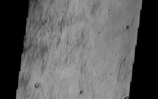 <h1>PIA10056:  Dust Devil Tracks</h1><div class="PIA10056" lang="en" style="width:543px;text-align:left;margin:auto;background-color:#000;padding:10px;max-height:150px;overflow:auto;"><p><a href="/figures/PIA10056_fig1.jpg"></a><br><b>Context image for PIA10056<br />Dust Devil Tracks</b></p><p>The dust devil tracks in this VIS image are located between Noachis Terra and the deep Hellas Basin.<p>Image information: VIS instrument. Latitude -41.6N, Longitude 36.9E. 17 meter/pixel resolution.</p><p>Please see the <a href="http://themis.asu.edu/terms" target="_blank">THEMIS Data Citation Note</a> for details on crediting THEMIS images.</p><p>Note: this THEMIS visual image has not been radiometrically nor geometrically calibrated for this preliminary release. An empirical correction has been performed to remove instrumental effects. A linear shift has been applied in the cross-track and down-track direction to approximate spacecraft and planetary motion. Fully calibrated and geometrically projected images will be released through the Planetary Data System in accordance with Project policies at a later time.</p><p>NASA's Jet Propulsion Laboratory manages the 2001 Mars Odyssey mission for NASA's Office of Space Science, Washington, D.C. The Thermal Emission Imaging System (THEMIS) was developed by Arizona State University, Tempe, in collaboration with Raytheon Santa Barbara Remote Sensing. The THEMIS investigation is led by Dr. Philip Christensen at Arizona State University. Lockheed Martin Astronautics, Denver, is the prime contractor for the Odyssey project, and developed and built the orbiter. Mission operations are conducted jointly from Lockheed Martin and from JPL, a division of the California Institute of Technology in Pasadena.</p><br /><br /><a href="http://photojournal.jpl.nasa.gov/catalog/PIA10056" onclick="window.open(this.href); return false;" title="Voir l'image 	 PIA10056:  Dust Devil Tracks	  sur le site de la NASA">Voir l'image 	 PIA10056:  Dust Devil Tracks	  sur le site de la NASA.</a></div>