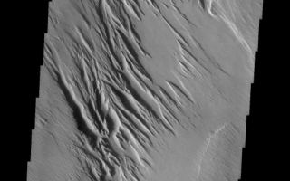 <h1>PIA10058:  Medusa Fossae</h1><div class="PIA10058" lang="en" style="width:555px;text-align:left;margin:auto;background-color:#000;padding:10px;max-height:150px;overflow:auto;"><p><a href="/figures/PIA10058_fig1.jpg"></a><br><b>Context image for PIA10058<br />Medusa Fossae</b></p><p>This image shows a very small portion of the Medusa Fossae Formation, an extensive deposit of poorly cemented materials that is heavily wind eroded.<p>Image information: VIS instrument. Latitude -5.2N, Longitude 200.3E. 18 meter/pixel resolution.</p><p>Please see the <a href="http://themis.asu.edu/terms" target="_blank">THEMIS Data Citation Note</a> for details on crediting THEMIS images.</p><p>Note: this THEMIS visual image has not been radiometrically nor geometrically calibrated for this preliminary release. An empirical correction has been performed to remove instrumental effects. A linear shift has been applied in the cross-track and down-track direction to approximate spacecraft and planetary motion. Fully calibrated and geometrically projected images will be released through the Planetary Data System in accordance with Project policies at a later time.</p><p>NASA's Jet Propulsion Laboratory manages the 2001 Mars Odyssey mission for NASA's Office of Space Science, Washington, D.C. The Thermal Emission Imaging System (THEMIS) was developed by Arizona State University, Tempe, in collaboration with Raytheon Santa Barbara Remote Sensing. The THEMIS investigation is led by Dr. Philip Christensen at Arizona State University. Lockheed Martin Astronautics, Denver, is the prime contractor for the Odyssey project, and developed and built the orbiter. Mission operations are conducted jointly from Lockheed Martin and from JPL, a division of the California Institute of Technology in Pasadena.</p><br /><br /><a href="http://photojournal.jpl.nasa.gov/catalog/PIA10058" onclick="window.open(this.href); return false;" title="Voir l'image 	 PIA10058:  Medusa Fossae	  sur le site de la NASA">Voir l'image 	 PIA10058:  Medusa Fossae	  sur le site de la NASA.</a></div>