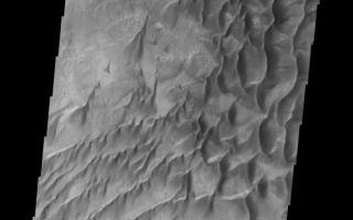<h1>PIA10257:  Russell Crater</h1><div class="PIA10257" lang="en" style="width:564px;text-align:left;margin:auto;background-color:#000;padding:10px;max-height:150px;overflow:auto;"><p><a href="/figures/PIA10257_fig1.jpg"></a><br><b>Context image for PIA10257<br />Russell Crater</b></p><p>This spectacular VIS image shows part of the large dune field located on the floor of Russell Crater.<p>Image information: VIS instrument. Latitude -54.4N, Longitude 12.5E. 17 meter/pixel resolution.</p><p>Please see the <a href="http://themis.asu.edu/terms" target="_blank">THEMIS Data Citation Note</a> for details on crediting THEMIS images.</p><p>Note: this THEMIS visual image has not been radiometrically nor geometrically calibrated for this preliminary release. An empirical correction has been performed to remove instrumental effects. A linear shift has been applied in the cross-track and down-track direction to approximate spacecraft and planetary motion. Fully calibrated and geometrically projected images will be released through the Planetary Data System in accordance with Project policies at a later time.</p><p>NASA's Jet Propulsion Laboratory manages the 2001 Mars Odyssey mission for NASA's Office of Space Science, Washington, D.C. The Thermal Emission Imaging System (THEMIS) was developed by Arizona State University, Tempe, in collaboration with Raytheon Santa Barbara Remote Sensing. The THEMIS investigation is led by Dr. Philip Christensen at Arizona State University. Lockheed Martin Astronautics, Denver, is the prime contractor for the Odyssey project, and developed and built the orbiter. Mission operations are conducted jointly from Lockheed Martin and from JPL, a division of the California Institute of Technology in Pasadena.</p><br /><br /><a href="http://photojournal.jpl.nasa.gov/catalog/PIA10257" onclick="window.open(this.href); return false;" title="Voir l'image 	 PIA10257:  Russell Crater	  sur le site de la NASA">Voir l'image 	 PIA10257:  Russell Crater	  sur le site de la NASA.</a></div>