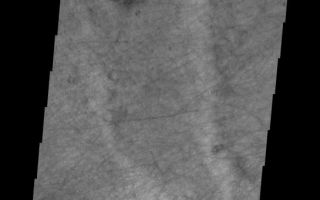 <h1>PIA10285:  Dust Devil Tracks</h1><div class="PIA10285" lang="en" style="width:545px;text-align:left;margin:auto;background-color:#000;padding:10px;max-height:150px;overflow:auto;"><p>This image shows a small portion of the floor of Proctor Crater. The part of the crater floor is host to hundreds of dust devil tracks.<p>Image information: VIS instrument. Latitude -48.0N, Longitude 28.9E. 17 meter/pixel resolution.</p><p>Please see the <a href="http://themis.asu.edu/terms" target="_blank">THEMIS Data Citation Note</a> for details on crediting THEMIS images.</p><p>Note: this THEMIS visual image has not been radiometrically nor geometrically calibrated for this preliminary release. An empirical correction has been performed to remove instrumental effects. A linear shift has been applied in the cross-track and down-track direction to approximate spacecraft and planetary motion. Fully calibrated and geometrically projected images will be released through the Planetary Data System in accordance with Project policies at a later time.</p><p>NASA's Jet Propulsion Laboratory manages the 2001 Mars Odyssey mission for NASA's Office of Space Science, Washington, D.C. The Thermal Emission Imaging System (THEMIS) was developed by Arizona State University, Tempe, in collaboration with Raytheon Santa Barbara Remote Sensing. The THEMIS investigation is led by Dr. Philip Christensen at Arizona State University. Lockheed Martin Astronautics, Denver, is the prime contractor for the Odyssey project, and developed and built the orbiter. Mission operations are conducted jointly from Lockheed Martin and from JPL, a division of the California Institute of Technology in Pasadena.<br /><br /><a href="http://photojournal.jpl.nasa.gov/catalog/PIA10285" onclick="window.open(this.href); return false;" title="Voir l'image 	 PIA10285:  Dust Devil Tracks	  sur le site de la NASA">Voir l'image 	 PIA10285:  Dust Devil Tracks	  sur le site de la NASA.</a></div>