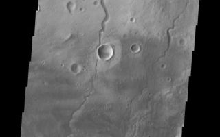 <h1>PIA10291:  Newton Crater</h1><div class="PIA10291" lang="en" style="width:557px;text-align:left;margin:auto;background-color:#000;padding:10px;max-height:150px;overflow:auto;"><p>Small dunes (bottom of frame) and channels (top of frame) are located on this region of the floor of Newton Crater.<p>Image information: VIS instrument. Latitude -39.3N, Longitude 202.4E. 17 meter/pixel resolution.</p><p>Please see the <a href="http://themis.asu.edu/terms" target="_blank">THEMIS Data Citation Note</a> for details on crediting THEMIS images.</p><p>Note: this THEMIS visual image has not been radiometrically nor geometrically calibrated for this preliminary release. An empirical correction has been performed to remove instrumental effects. A linear shift has been applied in the cross-track and down-track direction to approximate spacecraft and planetary motion. Fully calibrated and geometrically projected images will be released through the Planetary Data System in accordance with Project policies at a later time.</p><p>NASA's Jet Propulsion Laboratory manages the 2001 Mars Odyssey mission for NASA's Office of Space Science, Washington, D.C. The Thermal Emission Imaging System (THEMIS) was developed by Arizona State University, Tempe, in collaboration with Raytheon Santa Barbara Remote Sensing. The THEMIS investigation is led by Dr. Philip Christensen at Arizona State University. Lockheed Martin Astronautics, Denver, is the prime contractor for the Odyssey project, and developed and built the orbiter. Mission operations are conducted jointly from Lockheed Martin and from JPL, a division of the California Institute of Technology in Pasadena.<br /><br /><a href="http://photojournal.jpl.nasa.gov/catalog/PIA10291" onclick="window.open(this.href); return false;" title="Voir l'image 	 PIA10291:  Newton Crater	  sur le site de la NASA">Voir l'image 	 PIA10291:  Newton Crater	  sur le site de la NASA.</a></div>