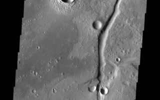<h1>PIA10306:  Orthogonal Ridges</h1><div class="PIA10306" lang="en" style="width:563px;text-align:left;margin:auto;background-color:#000;padding:10px;max-height:150px;overflow:auto;"><p><a href="/figures/PIA10306_fig1.jpg"></a><br><b>Context image for PIA10306<br />Orthogonal Ridges</b></p><p>This VIS image is located east of the major fracture system of Tempe Terra. The small ridges intersect to form polygons.<p>Image information: VIS instrument. Latitude 35.7N, Longitude 295.9E. 19 meter/pixel resolution.</p><p>Please see the <a href="http://themis.asu.edu/terms" target="_blank">THEMIS Data Citation Note</a> for details on crediting THEMIS images.</p><p>Note: this THEMIS visual image has not been radiometrically nor geometrically calibrated for this preliminary release. An empirical correction has been performed to remove instrumental effects. A linear shift has been applied in the cross-track and down-track direction to approximate spacecraft and planetary motion. Fully calibrated and geometrically projected images will be released through the Planetary Data System in accordance with Project policies at a later time.</p><p>NASA's Jet Propulsion Laboratory manages the 2001 Mars Odyssey mission for NASA's Office of Space Science, Washington, D.C. The Thermal Emission Imaging System (THEMIS) was developed by Arizona State University, Tempe, in collaboration with Raytheon Santa Barbara Remote Sensing. The THEMIS investigation is led by Dr. Philip Christensen at Arizona State University. Lockheed Martin Astronautics, Denver, is the prime contractor for the Odyssey project, and developed and built the orbiter. Mission operations are conducted jointly from Lockheed Martin and from JPL, a division of the California Institute of Technology in Pasadena.<br /><br /><a href="http://photojournal.jpl.nasa.gov/catalog/PIA10306" onclick="window.open(this.href); return false;" title="Voir l'image 	 PIA10306:  Orthogonal Ridges	  sur le site de la NASA">Voir l'image 	 PIA10306:  Orthogonal Ridges	  sur le site de la NASA.</a></div>
