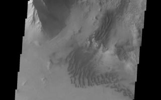 <h1>PIA10322:  Melas Chasma</h1><div class="PIA10322" lang="en" style="width:554px;text-align:left;margin:auto;background-color:#000;padding:10px;max-height:150px;overflow:auto;"><p><a href="/figures/PIA10322_fig1.jpg"></a><br><b>Context image for PIA10322<br />Melas Chasma</b></p><p>This VIS image shows the northern wall of Melas Chasma near Ophir Labes. Note the landslide deposits on the bottom right side of the image.<p>Image information: VIS instrument. Latitude -10.5N, Longitude 290.9E. 18 meter/pixel resolution.</p><p>Please see the <a href="http://themis.asu.edu/terms" target="_blank">THEMIS Data Citation Note</a> for details on crediting THEMIS images.</p><p>Note: this THEMIS visual image has not been radiometrically nor geometrically calibrated for this preliminary release. An empirical correction has been performed to remove instrumental effects. A linear shift has been applied in the cross-track and down-track direction to approximate spacecraft and planetary motion. Fully calibrated and geometrically projected images will be released through the Planetary Data System in accordance with Project policies at a later time.</p><p>NASA's Jet Propulsion Laboratory manages the 2001 Mars Odyssey mission for NASA's Office of Space Science, Washington, D.C. The Thermal Emission Imaging System (THEMIS) was developed by Arizona State University, Tempe, in collaboration with Raytheon Santa Barbara Remote Sensing. The THEMIS investigation is led by Dr. Philip Christensen at Arizona State University. Lockheed Martin Astronautics, Denver, is the prime contractor for the Odyssey project, and developed and built the orbiter. Mission operations are conducted jointly from Lockheed Martin and from JPL, a division of the California Institute of Technology in Pasadena.<br /><br /><a href="http://photojournal.jpl.nasa.gov/catalog/PIA10322" onclick="window.open(this.href); return false;" title="Voir l'image 	 PIA10322:  Melas Chasma	  sur le site de la NASA">Voir l'image 	 PIA10322:  Melas Chasma	  sur le site de la NASA.</a></div>