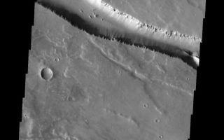 <h1>PIA10325:  Elysium Fossae</h1><div class="PIA10325" lang="en" style="width:568px;text-align:left;margin:auto;background-color:#000;padding:10px;max-height:150px;overflow:auto;"><p><a href="/figures/PIA10325_fig1.jpg"></a><br><b>Context image for PIA10325<br />Elysium Fossae</b></p><p>The linear depressions in this VIS image were created by fault action. These features are located on the western margin of the Elysium Volcanic Complex.<p>Image information: VIS instrument. Latitude 26.2N, Longitude 136.6E. 19 meter/pixel resolution.</p><p>Please see the <a href="http://themis.asu.edu/terms" target="_blank">THEMIS Data Citation Note</a> for details on crediting THEMIS images.</p><p>Note: this THEMIS visual image has not been radiometrically nor geometrically calibrated for this preliminary release. An empirical correction has been performed to remove instrumental effects. A linear shift has been applied in the cross-track and down-track direction to approximate spacecraft and planetary motion. Fully calibrated and geometrically projected images will be released through the Planetary Data System in accordance with Project policies at a later time.</p><p>NASA's Jet Propulsion Laboratory manages the 2001 Mars Odyssey mission for NASA's Office of Space Science, Washington, D.C. The Thermal Emission Imaging System (THEMIS) was developed by Arizona State University, Tempe, in collaboration with Raytheon Santa Barbara Remote Sensing. The THEMIS investigation is led by Dr. Philip Christensen at Arizona State University. Lockheed Martin Astronautics, Denver, is the prime contractor for the Odyssey project, and developed and built the orbiter. Mission operations are conducted jointly from Lockheed Martin and from JPL, a division of the California Institute of Technology in Pasadena.<br /><br /><a href="http://photojournal.jpl.nasa.gov/catalog/PIA10325" onclick="window.open(this.href); return false;" title="Voir l'image 	 PIA10325:  Elysium Fossae	  sur le site de la NASA">Voir l'image 	 PIA10325:  Elysium Fossae	  sur le site de la NASA.</a></div>