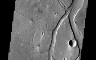 <h1>PIA10347:  Hebrus Valles</h1><div class="PIA10347" lang="en" style="width:565px;text-align:left;margin:auto;background-color:#000;padding:10px;max-height:150px;overflow:auto;"><p><a href="/figures/PIA10347_fig1.jpg"></a><br><b>Context image for PIA10347<br />Hebrus Valles</b></p><p>These channels and streamlined islands are part of Hebrus Valles.<p>Image information: VIS instrument. Latitude 20.7N, Longitude 125.8E. 19 meter/pixel resolution.</p><p>Please see the <a href="http://themis.asu.edu/terms" target="_blank">THEMIS Data Citation Note</a> for details on crediting THEMIS images.</p><p>Note: this THEMIS visual image has not been radiometrically nor geometrically calibrated for this preliminary release. An empirical correction has been performed to remove instrumental effects. A linear shift has been applied in the cross-track and down-track direction to approximate spacecraft and planetary motion. Fully calibrated and geometrically projected images will be released through the Planetary Data System in accordance with Project policies at a later time.</p><p>NASA's Jet Propulsion Laboratory manages the 2001 Mars Odyssey mission for NASA's Office of Space Science, Washington, D.C. The Thermal Emission Imaging System (THEMIS) was developed by Arizona State University, Tempe, in collaboration with Raytheon Santa Barbara Remote Sensing. The THEMIS investigation is led by Dr. Philip Christensen at Arizona State University. Lockheed Martin Astronautics, Denver, is the prime contractor for the Odyssey project, and developed and built the orbiter. Mission operations are conducted jointly from Lockheed Martin and from JPL, a division of the California Institute of Technology in Pasadena.<br /><br /><a href="http://photojournal.jpl.nasa.gov/catalog/PIA10347" onclick="window.open(this.href); return false;" title="Voir l'image 	 PIA10347:  Hebrus Valles	  sur le site de la NASA">Voir l'image 	 PIA10347:  Hebrus Valles	  sur le site de la NASA.</a></div>