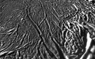 <h1>PIA10352:  Tiger Stripes on Enceladus—Fracture Zones and Plumes Sources</h1><div class="PIA10352" lang="en" style="width:800px;text-align:left;margin:auto;background-color:#000;padding:10px;max-height:150px;overflow:auto;"><p>The plumes of water and other ice vapors jetting from the surface of Enceladus are one of the most exciting astronomical discoveries of the 21st century. These plumes originate from long linear fractures near the south pole of Enceladus. New topographic maps give us a fresh unprecedented look at this geologically young and active region. This perspective view shows several of these tiger stripes from which the plumes are venting. The stripes themselves consist of deep grooves flanked by two elevated ridges. The south polar terrains generally are also heavily fractured and deformed. These new topographic maps, constructed from stereo and shape-from-shading techniques by Dr. Paul Schenk (<a href="http://www.lpi.usra.edu/lpi/schenk/" class="external free" target="wpext">http://www.lpi.usra.edu/lpi/schenk/</a>) at the Lunar and Planetary Institute, show that the stripes do not have a lot of relief. The flanking ridges are typically 75 to 200 meters high while the grooves in between the ridges are 150 to 300 meters deep. Intensely deformed ridges along the edge of the south polar terrains (lower right) have relief of up to 1 kilometer or so. Vertical relief has been exaggerated by a factor of 20 in this view to aid interpretation. </p><p>The raw data from which this product was developed were retrieved from the Planetary Data System's Cassini archives. The Cassini-Huygens mission is a cooperative project of NASA, the European Space Agency and the Italian Space Agency. The Jet Propulsion Laboratory, a division of the California Institute of Technology in Pasadena, manages the mission for NASA's Science Mission Directorate, Washington, D.C. The Cassini orbiter and its two onboard cameras were designed, developed and assembled at JPL. The imaging operations center is based at the Space Science Institute in Boulder, Colo. (<a href="http://ciclops.org" class="external free" target="wpext">http://ciclops.org</a>)<br /><br /><a href="http://photojournal.jpl.nasa.gov/catalog/PIA10352" onclick="window.open(this.href); return false;" title="Voir l'image 	 PIA10352:  Tiger Stripes on Enceladus—Fracture Zones and Plumes Sources	  sur le site de la NASA">Voir l'image 	 PIA10352:  Tiger Stripes on Enceladus—Fracture Zones and Plumes Sources	  sur le site de la NASA.</a></div>