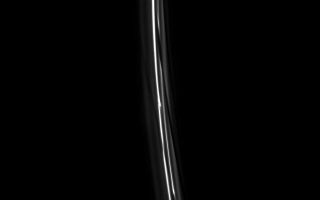 <h1>PIA10448:  F Ring Channels</h1><div class="PIA10448" lang="en" style="width:800px;text-align:left;margin:auto;background-color:#000;padding:10px;max-height:150px;overflow:auto;"><p>A train of diagonal channels in Saturn's F ring follows behind the moon Prometheus. Each of these features was created during a previous close approach of Prometheus to the ring. </p><p>When the moon is at the farthest point in its orbit of the planet, it strays close to (and often into) the F ring. The resulting gravitational disturbance leaves behind the channels seen here.</p><p>Atlas (30 kilometers, or 19 miles across at its widest point) appears at lower right.</p><p>This view looks toward the unilluminated side of the rings from about 27 degrees above the ringplane. The image was taken in visible light with the Cassini spacecraft narrow-angle camera on July 5, 2008. The view was acquired at a distance of approximately 1.1 million kilometers (675,000 miles) from Saturn and at a Sun-Saturn-spacecraft, or phase, angle of 34 degrees. Image scale is 6 kilometers (4 miles) per pixel.</p><p>The Cassini-Huygens mission is a cooperative project of NASA, the European Space Agency and the Italian Space Agency. The Jet Propulsion Laboratory, a division of the California Institute of Technology in Pasadena, manages the mission for NASA's Science Mission Directorate, Washington, D.C. The Cassini orbiter and its two onboard cameras were designed, developed and assembled at JPL. The imaging operations center is based at the Space Science Institute in Boulder, Colo.</p><p>For more information about the Cassini-Huygens mission visit <a href="http://saturn.jpl.nasa.gov" class="external free" target="wpext">http://saturn.jpl.nasa.gov/</a>. The Cassini imaging team homepage is at <a href="http://ciclops.org" class="external free" target="wpext">http://ciclops.org</a>.<br /><br /><a href="http://photojournal.jpl.nasa.gov/catalog/PIA10448" onclick="window.open(this.href); return false;" title="Voir l'image 	 PIA10448:  F Ring Channels	  sur le site de la NASA">Voir l'image 	 PIA10448:  F Ring Channels	  sur le site de la NASA.</a></div>