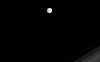 <h1>PIA10484:  Mimas in Profile</h1><div class="PIA10484" lang="en" style="width:800px;text-align:left;margin:auto;background-color:#000;padding:10px;max-height:150px;overflow:auto;"><p>The Cassini spacecraft spies the icy moon Mimas on the far side of Saturn's rings. The large crater Herschel gives the moon a flattened profile on its leading hemisphere, at left.</p><p>This view looks toward the Saturn-facing side of Mimas (396 kilometers, or 246 miles across). North is up and rotated 30 degrees to the left.</p><p>This view looks toward the unilluminated side of the rings from about 2 degrees above the ringplane. The image was taken in visible green light with the Cassini spacecraft narrow-angle camera on Aug. 22, 2008. The view was acquired at a distance of approximately 1.3 million kilometers (831,000 miles) from Mimas and at a Sun-Mimas-spacecraft, or phase, angle of 16 degrees. Image scale is 8 kilometers (5 miles) per pixel.</p><p>The Cassini-Huygens mission is a cooperative project of NASA, the European Space Agency and the Italian Space Agency. The Jet Propulsion Laboratory, a division of the California Institute of Technology in Pasadena, manages the mission for NASA's Science Mission Directorate, Washington, D.C. The Cassini orbiter and its two onboard cameras were designed, developed and assembled at JPL. The imaging operations center is based at the Space Science Institute in Boulder, Colo.</p><p>For more information about the Cassini-Huygens mission visit <a href="http://saturn.jpl.nasa.gov" class="external free" target="wpext">http://saturn.jpl.nasa.gov/</a>. The Cassini imaging team homepage is at <a href="http://ciclops.org" class="external free" target="wpext">http://ciclops.org</a>.<br /><br /><a href="http://photojournal.jpl.nasa.gov/catalog/PIA10484" onclick="window.open(this.href); return false;" title="Voir l'image 	 PIA10484:  Mimas in Profile	  sur le site de la NASA">Voir l'image 	 PIA10484:  Mimas in Profile	  sur le site de la NASA.</a></div>