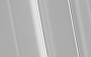 <h1>PIA10501:  Two Kinds of Wave</h1><div class="PIA10501" lang="en" style="width:800px;text-align:left;margin:auto;background-color:#000;padding:10px;max-height:150px;overflow:auto;"><p>Many features in Saturn's rings are thought to be induced by the gravity of the planet's moons. This view shows two different kinds of waves that are thought to be produced by different moon-related effects.</p><p>Most of the waves seen here, including the prominent feature near center, are spiral density waves. These waves wrap around the planet many times like a watch spiral. They are the result of gravitational tugs by individual moons whose orbits are in a resonance with the particles at a specific distance from Saturn. </p><p>The bright and dark areas in the wave represent more-dense and less-dense regions of the ring. For this type of wave, the wavelength--the distance between bright peaks in each wave--decreases with increasing distance from Saturn (toward left in this image).</p><p>By contrast, the wavelength of the intense feature at right decreases toward Saturn (toward right here), indicating that this is a different kind of wave called a spiral bending wave. This wave also winds multiple times around Saturn, but it represents vertical undulations in the ring plane, like a corrugated tin roof. This type of wave is produced by gravitational tugs by moons on inclined orbits as they venture just slightly out of the ringplane.</p><p>Cassini scientists will be carefully watching for shadows cast by spiral bending waves as equinox occurs in Aug. 2009 and the Sun passes from the south side of the rings to the north side. The shadows could reveal the height of the bending waves, providing an indirect way to measure key properties of the ring.</p><p>This view looks toward the sunlit side of the rings from about 35 degrees below the ringplane. The image was taken in visible light with the Cassini spacecraft narrow-angle camera on Sept. 25, 2008. The view was acquired at a distance of approximately 219,000 kilometers (136,000 miles) above the rings and at a Sun-ring-spacecraft, or phase, angle of 127 degrees. Image scale is 1 kilometer (0.6 mile) per pixel in the radial, or outward from Saturn direction and 2 kilometers (1 mile) per pixel in the longitudinal, or around Saturn, direction.</p><p>The Cassini-Huygens mission is a cooperative project of NASA, the European Space Agency and the Italian Space Agency. The Jet Propulsion Laboratory, a division of the California Institute of Technology in Pasadena, manages the mission for NASA's Science Mission Directorate, Washington, D.C. The Cassini orbiter and its two onboard cameras were designed, developed and assembled at JPL. The imaging operations center is based at the Space Science Institute in Boulder, Colo.</p><p>For more information about the Cassini-Huygens mission visit <a href="http://saturn.jpl.nasa.gov" class="external free" target="wpext">http://saturn.jpl.nasa.gov/</a>. The Cassini imaging team homepage is at <a href="http://ciclops.org" class="external free" target="wpext">http://ciclops.org</a>.<br /><br /><a href="http://photojournal.jpl.nasa.gov/catalog/PIA10501" onclick="window.open(this.href); return false;" title="Voir l'image 	 PIA10501:  Two Kinds of Wave	  sur le site de la NASA">Voir l'image 	 PIA10501:  Two Kinds of Wave	  sur le site de la NASA.</a></div>