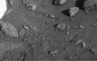 <h1>PIA10738:  Mars Surface near Viking Lander 1 Footpad</h1><div class="PIA10738" lang="en" style="width:800px;text-align:left;margin:auto;background-color:#000;padding:10px;max-height:150px;overflow:auto;"><p>This image, which has been flipped horizontally, was taken by Viking Lander 1 on August 1, 1976, 12 sols after landing. Much like images that have returned from Phoenix, the soil beneath Viking 1 has been exposed due to exhaust from thruster engines during descent. This is visible to the right of the struts of Viking's surface-sampler arm housing, seen on the left.<br /><br /><a href="http://photojournal.jpl.nasa.gov/catalog/PIA10738" onclick="window.open(this.href); return false;" title="Voir l'image 	 PIA10738:  Mars Surface near Viking Lander 1 Footpad	  sur le site de la NASA">Voir l'image 	 PIA10738:  Mars Surface near Viking Lander 1 Footpad	  sur le site de la NASA.</a></div>