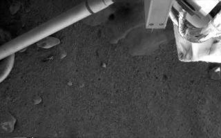 <h1>PIA10739:  Mars Surface Beneath Phoenix</h1><div class="PIA10739" lang="en" style="width:512px;text-align:left;margin:auto;background-color:#000;padding:10px;max-height:150px;overflow:auto;"><p>This contrast-enhanced image was acquired at the Phoenix landing site on Sol 4 by Phoenix's Robotic Arm Camera (RAC). As seen in the top center, the exhaust from the descent engine has blown soil off to reveal either rock or ice, which has not yet been determined.</p><p>The Phoenix Mission is led by the University of Arizona, Tucson, on behalf of NASA. Project management of the mission is by NASA's Jet Propulsion Laboratory, Pasadena, Calif. Spacecraft development is by Lockheed Martin Space Systems, Denver.<br /><br /><a href="http://photojournal.jpl.nasa.gov/catalog/PIA10739" onclick="window.open(this.href); return false;" title="Voir l'image 	 PIA10739:  Mars Surface Beneath Phoenix	  sur le site de la NASA">Voir l'image 	 PIA10739:  Mars Surface Beneath Phoenix	  sur le site de la NASA.</a></div>