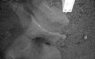 <h1>PIA10742:  Potential Ice Table Under Lander Imaged</h1><div class="PIA10742" lang="en" style="width:512px;text-align:left;margin:auto;background-color:#000;padding:10px;max-height:150px;overflow:auto;"><p>This image captured by the Robotic Arm Camera aboard NASA's Phoenix Mars Lander on Sol 6, the sixth Martian day of the mission, (May 31, 2008) shows a close-up of the "Snow Queen" feature under the lander.</p><p>Swept clear of surface dust by the thruster rockets as Phoenix landed, the area has a smooth surface with layers visible and several smooth rounded cavities.</p><p>The Phoenix Mission is led by the University of Arizona, Tucson, on behalf of NASA. Project management of the mission is by NASA's Jet Propulsion Laboratory, Pasadena, Calif. Spacecraft development is by Lockheed Martin Space Systems, Denver.<br /><br /><a href="http://photojournal.jpl.nasa.gov/catalog/PIA10742" onclick="window.open(this.href); return false;" title="Voir l'image 	 PIA10742:  Potential Ice Table Under Lander Imaged	  sur le site de la NASA">Voir l'image 	 PIA10742:  Potential Ice Table Under Lander Imaged	  sur le site de la NASA.</a></div>